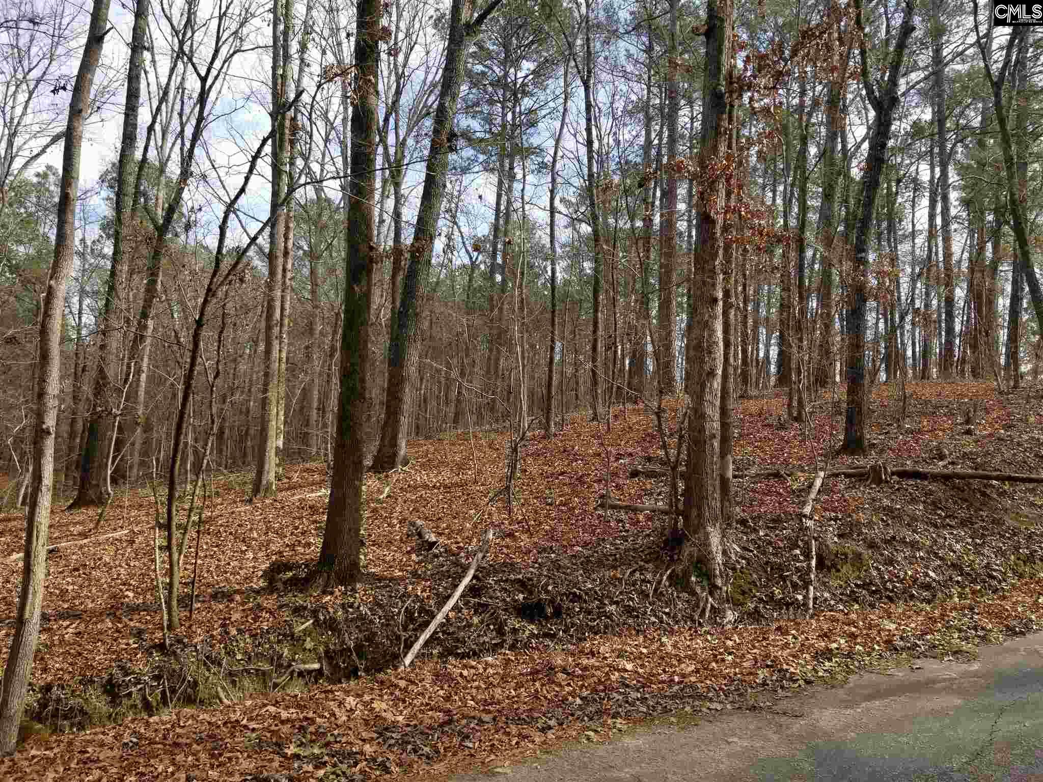 1004 Skyview Columbia, SC 29203