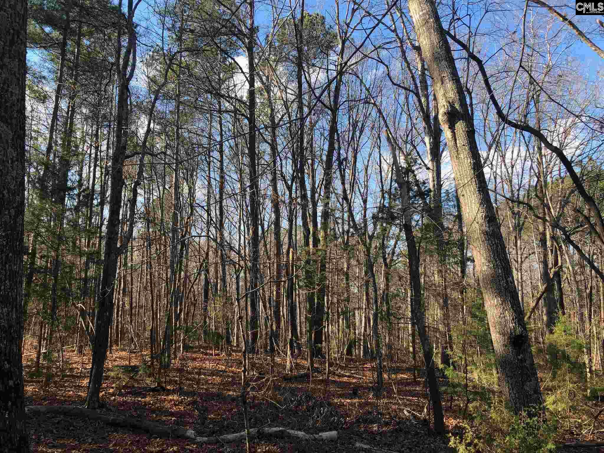 127 Everwood Lexington, SC 29072