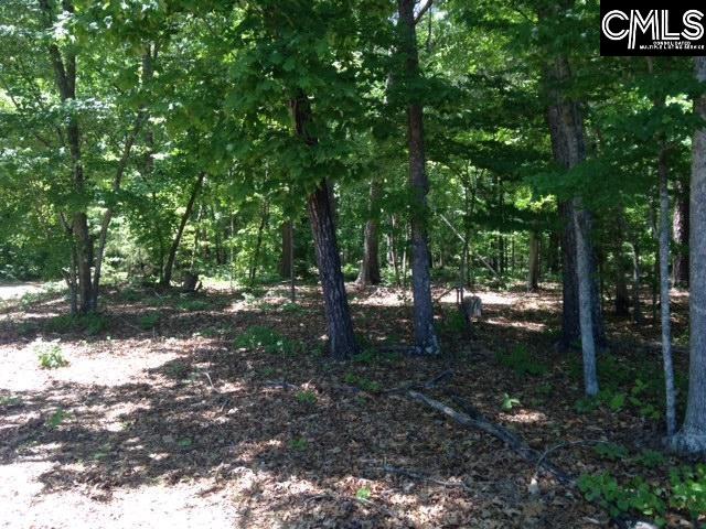 1316 Dreher Island Chapin, SC 29036