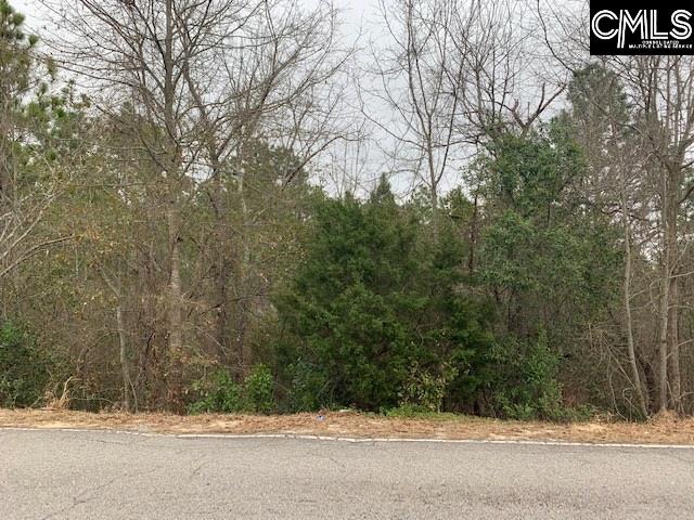 233 Casa Dell Gaston, SC 29053