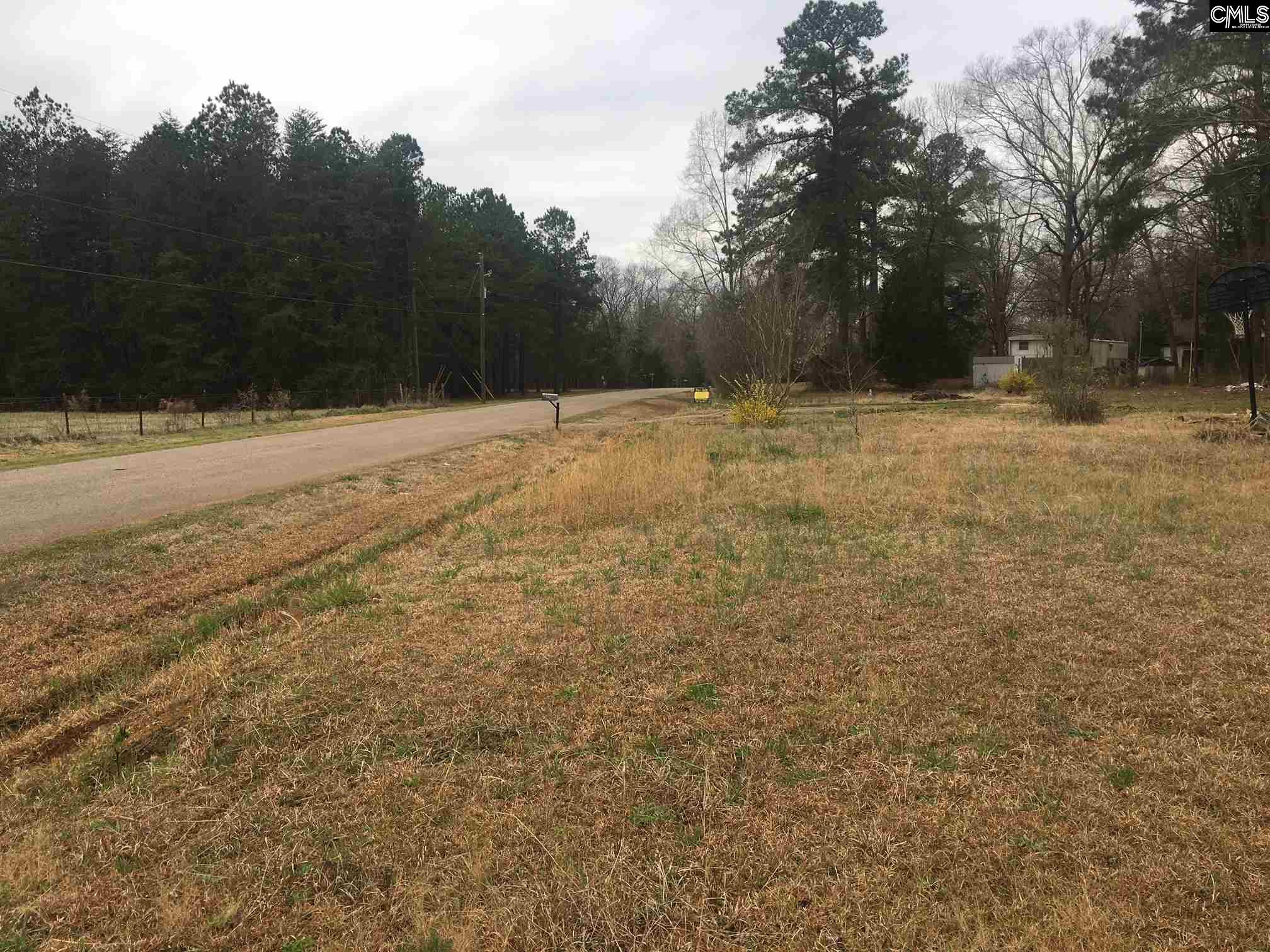 319 Cannon Chapin, SC 29036-9223