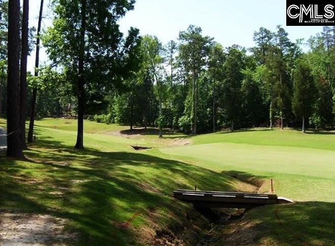 553 Wateroak Chapin, SC 29036