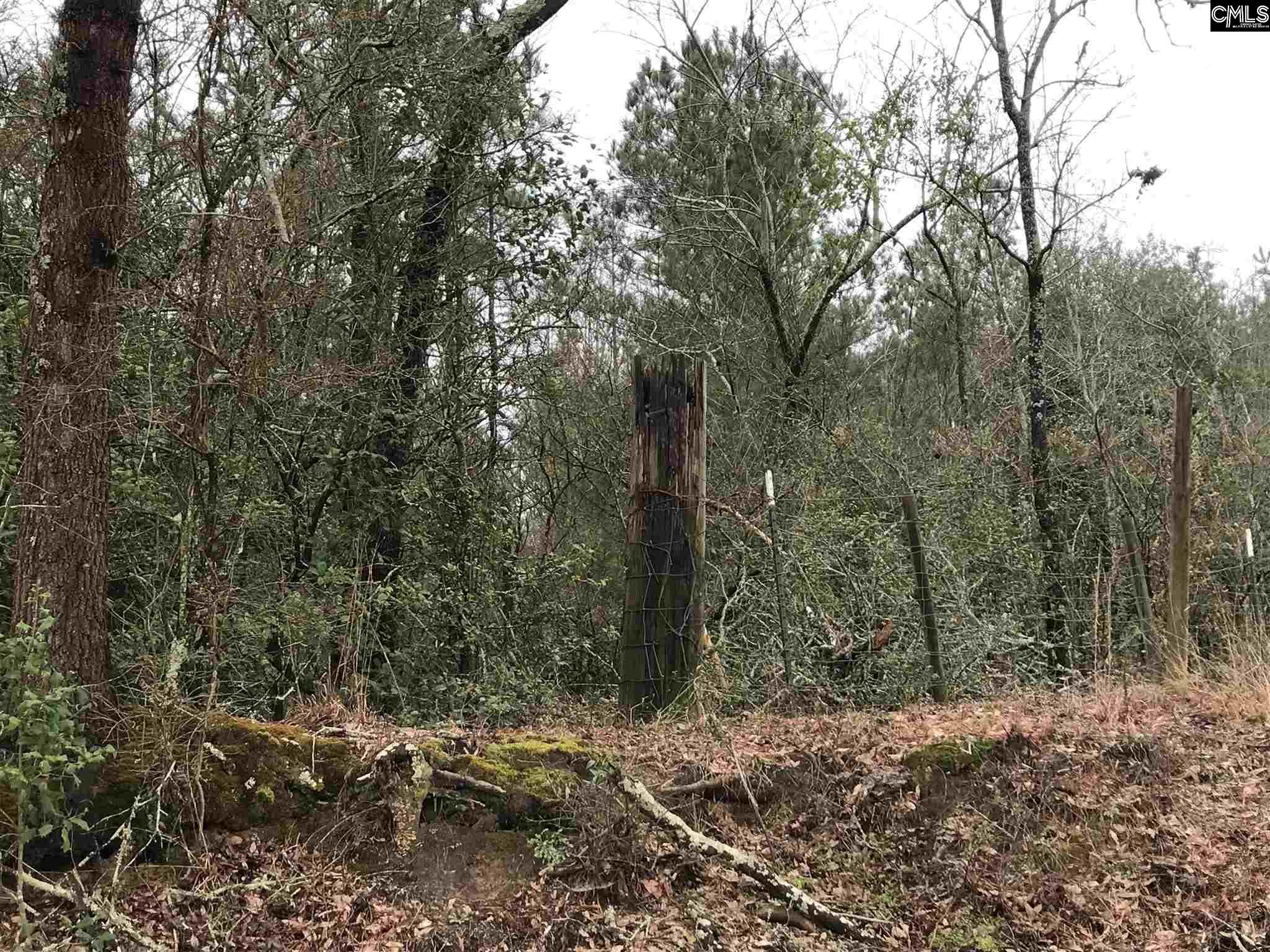 Thunder Batesburg, SC 29006
