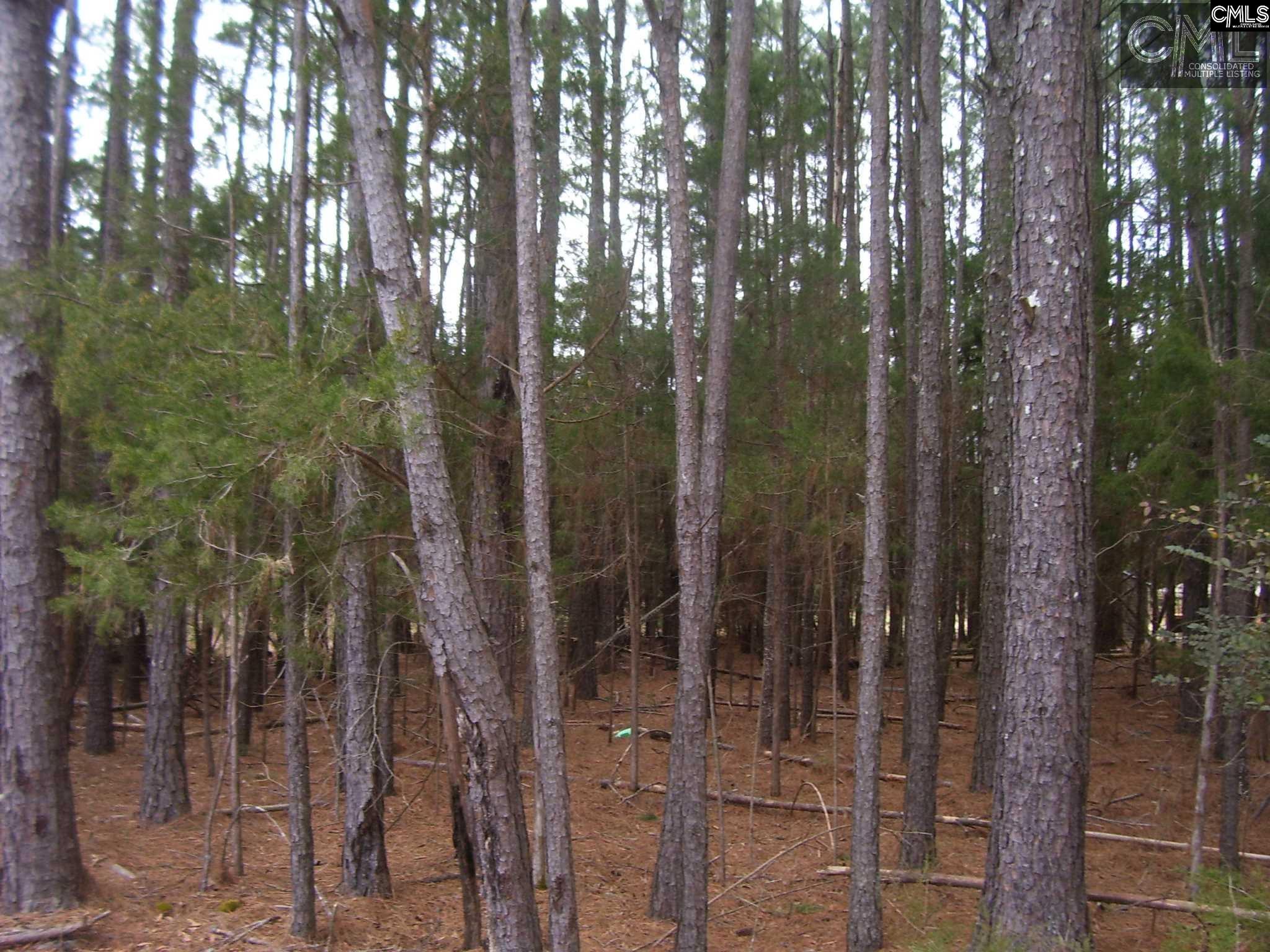 Connelly Prosperity, SC 29127