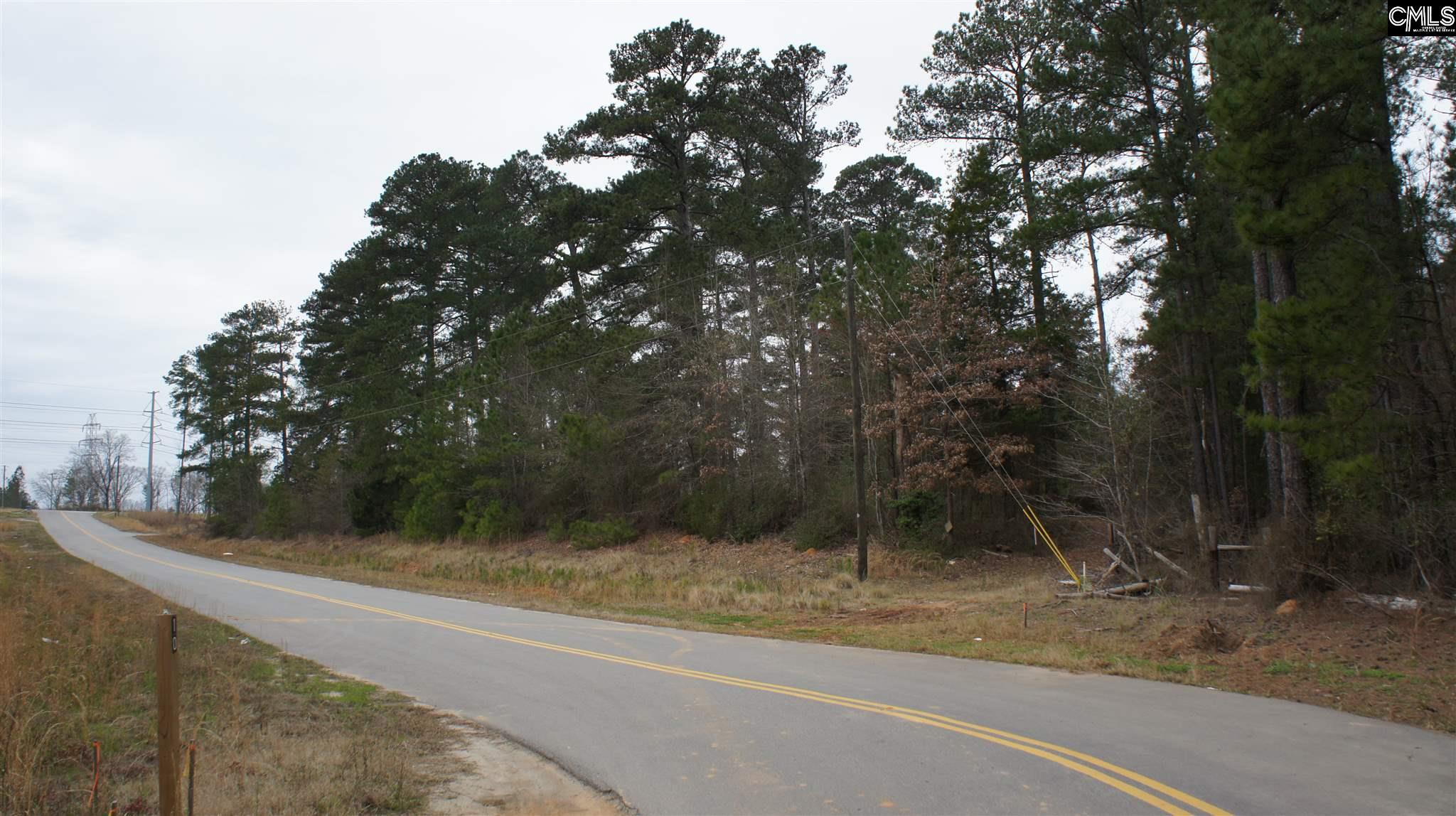 471 Brentwood Chapin, SC 29036-9204
