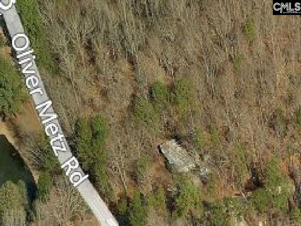 382 Oliver Metzz Lexington, SC 29072