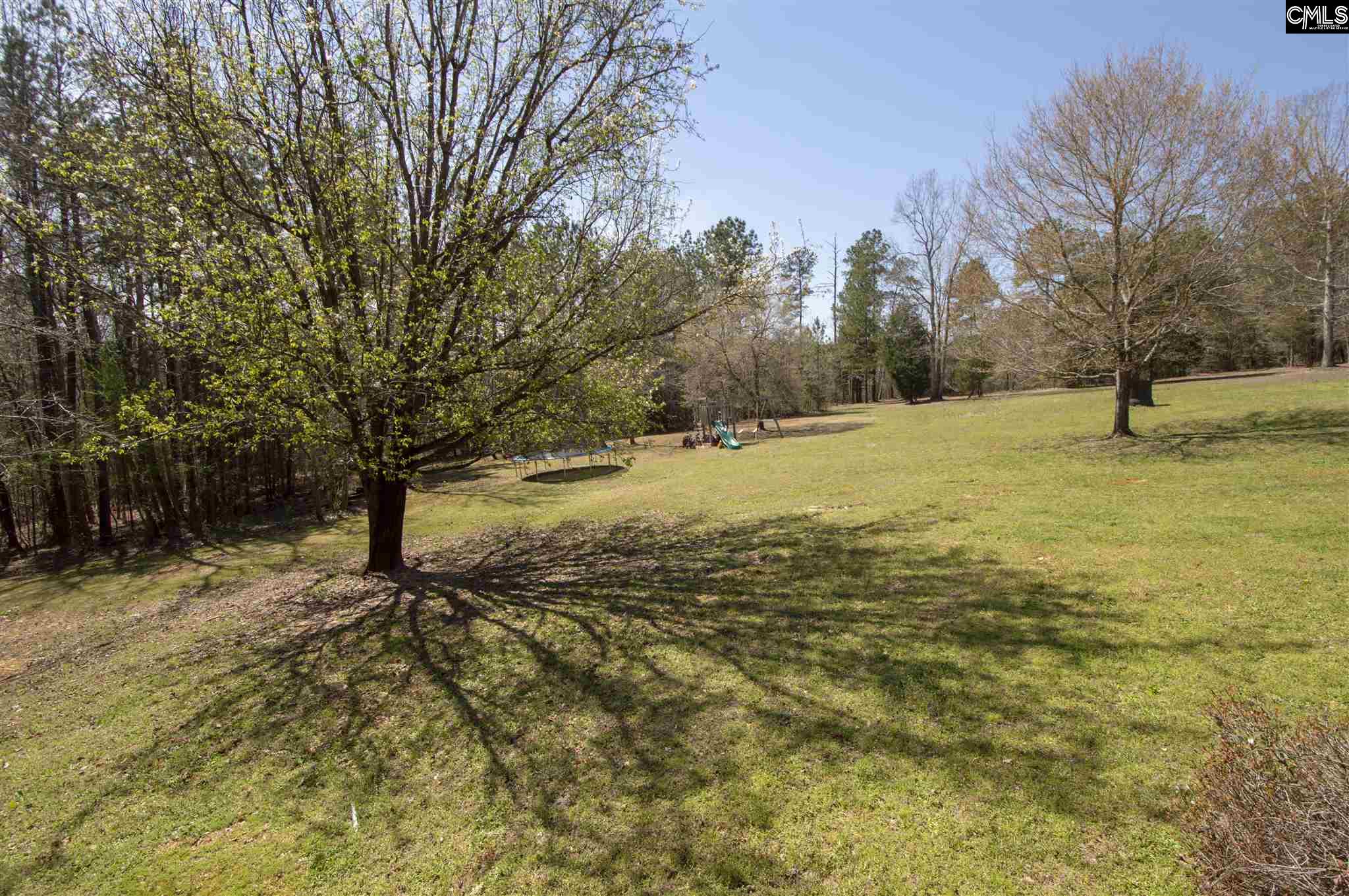 340 Cross Creek Chapin, SC 29036