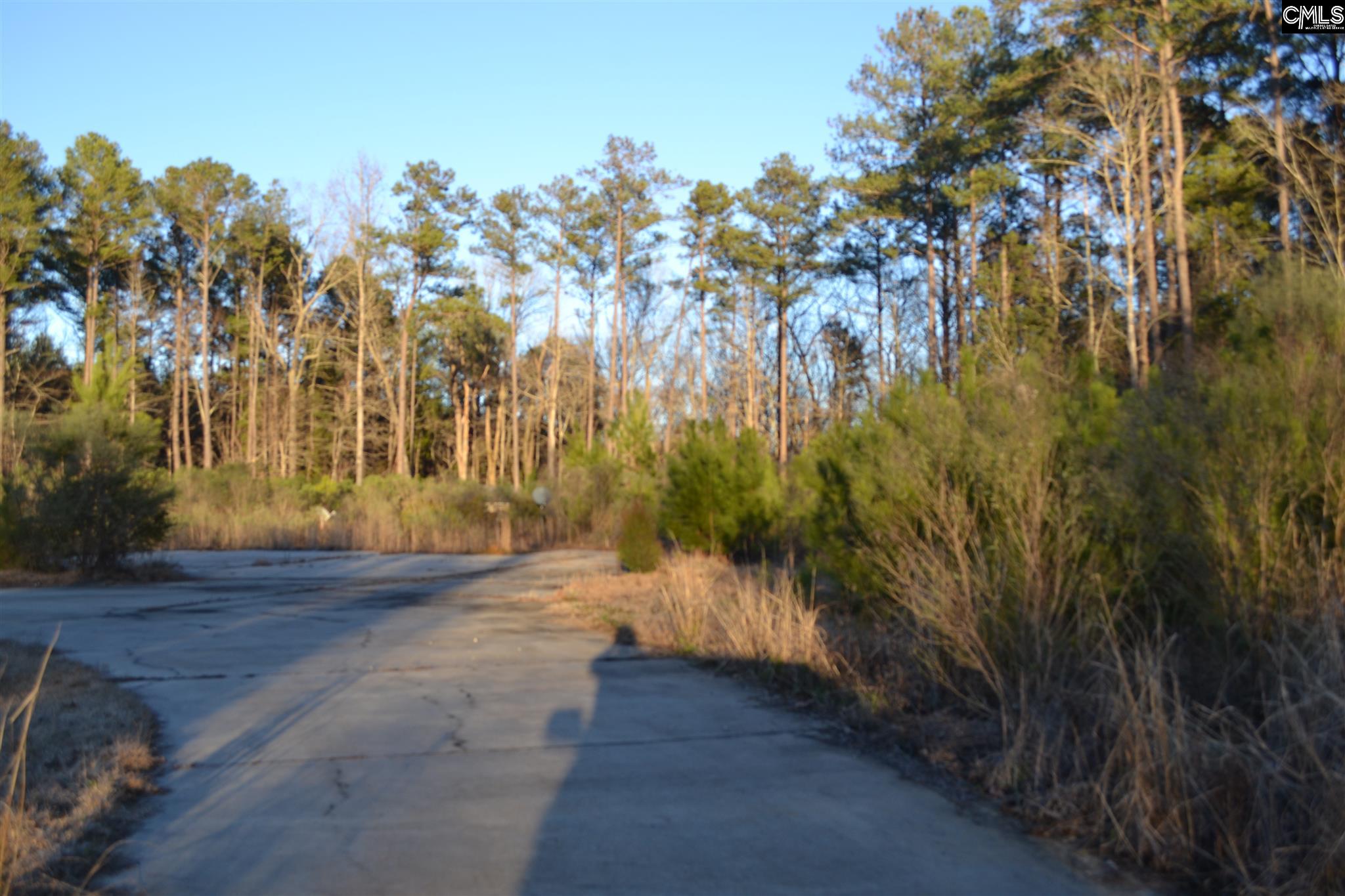1240 Frick Blythewood, SC 29016