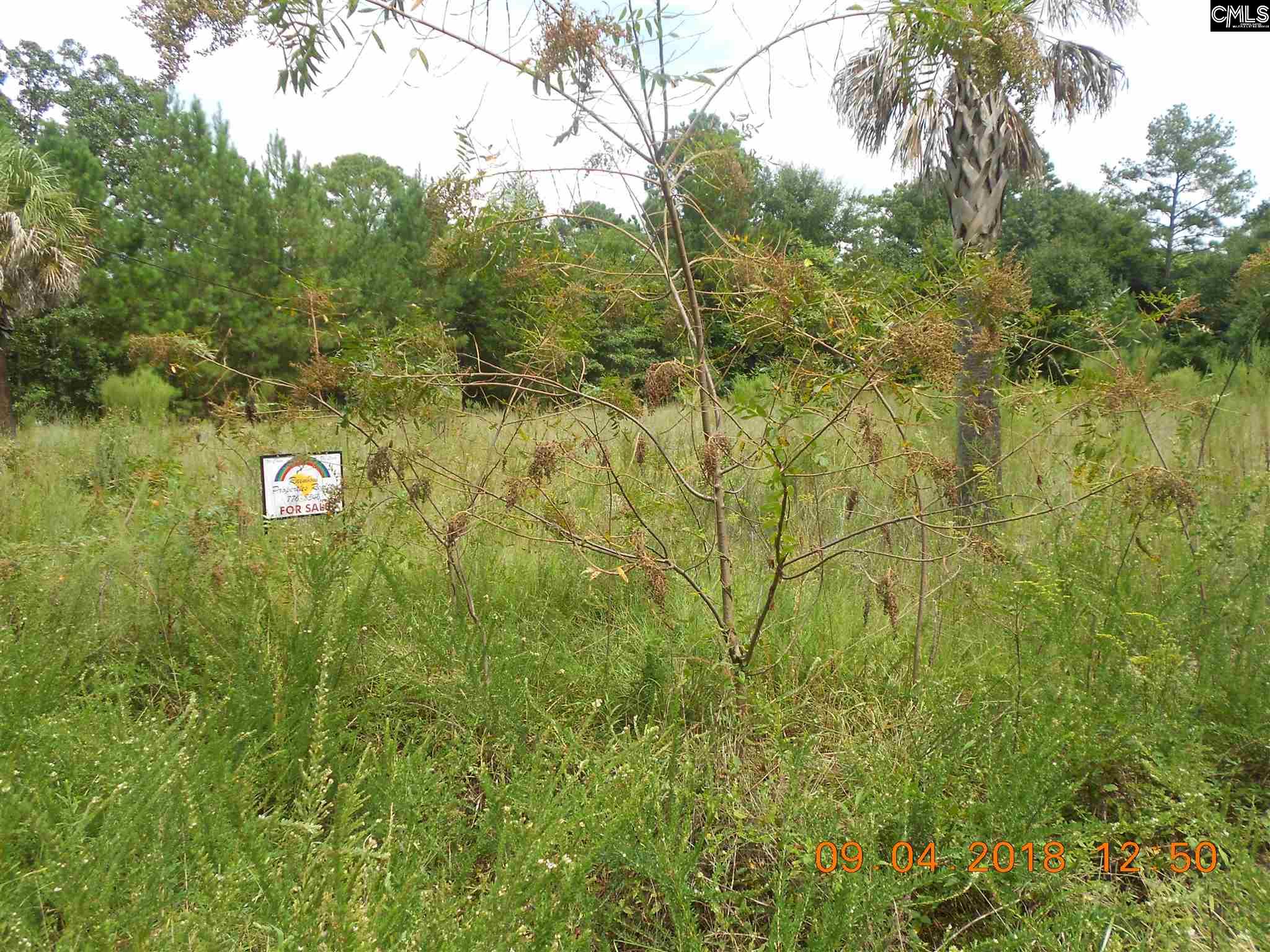 417 Scotch Pine Columbia, SC 28209
