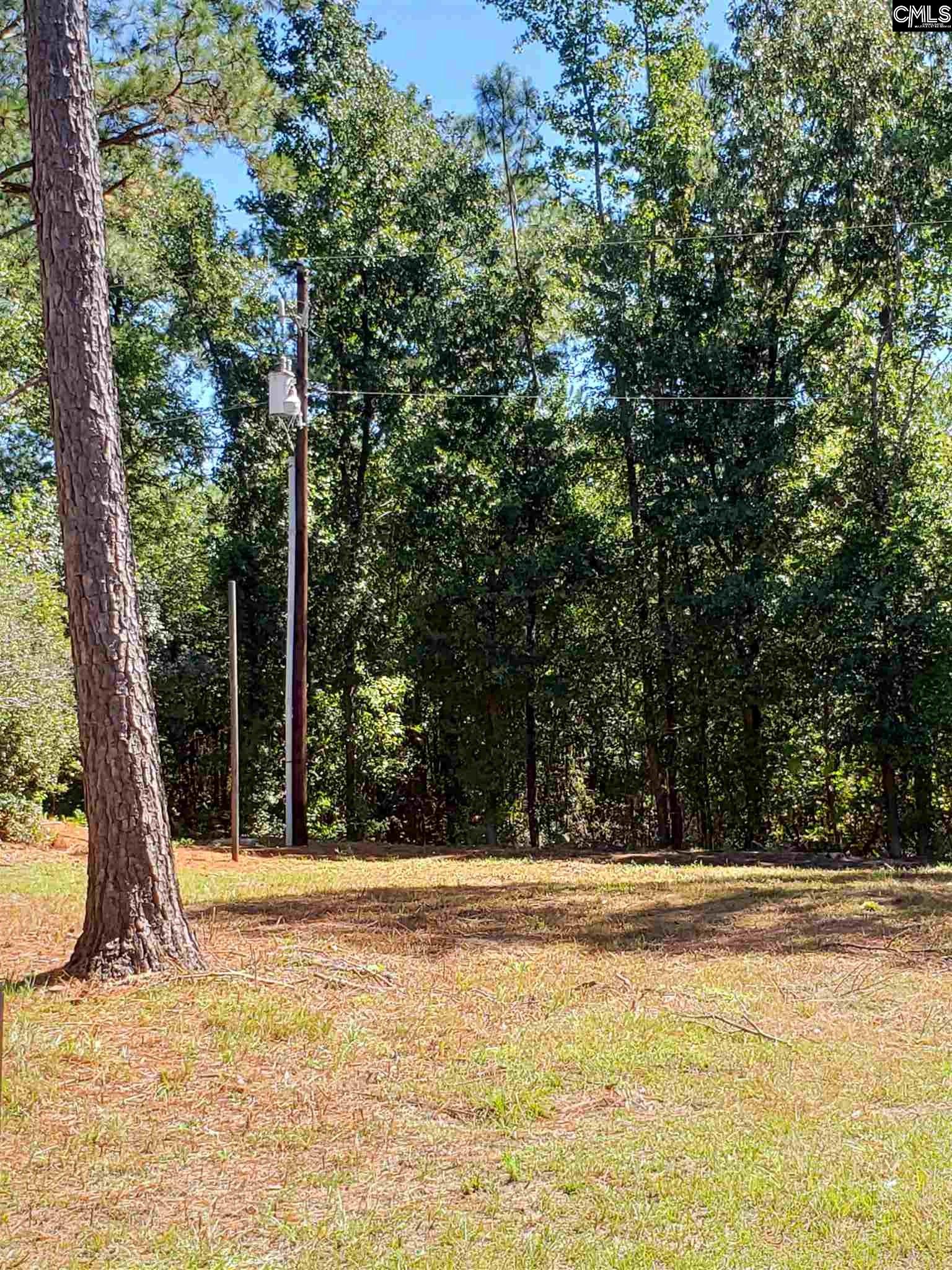125 Leila Columbia, SC 29223