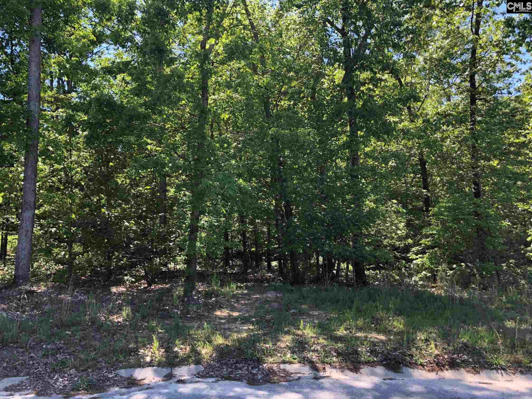 55 W Sugarberry Blythewood, SC 29016