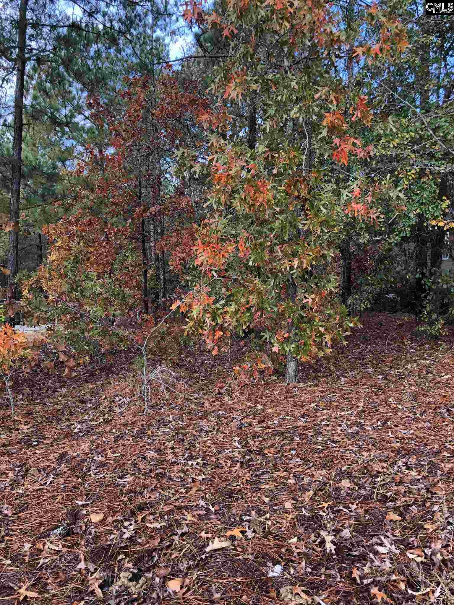 154 Baysdale Columbia, SC 29229