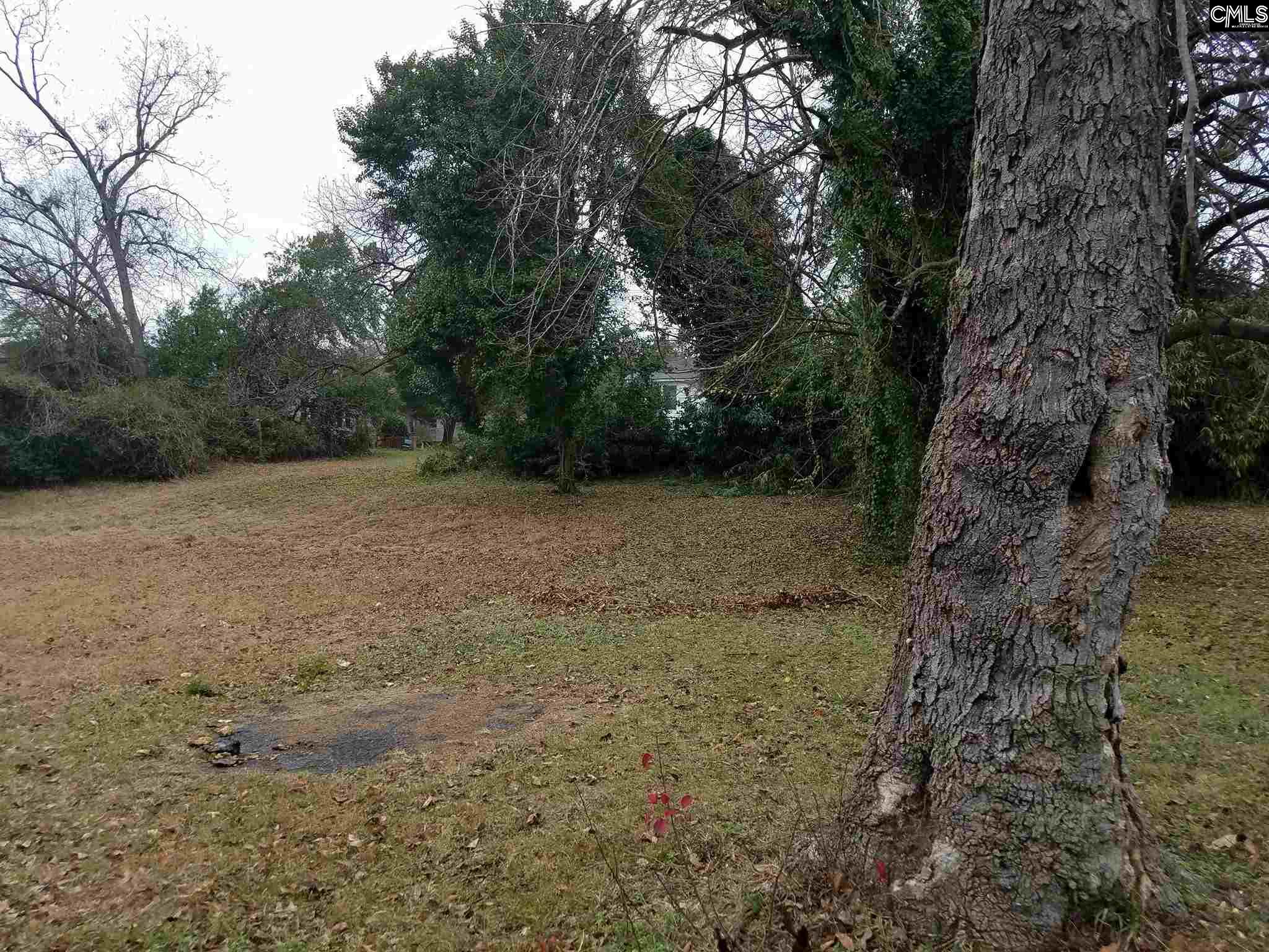 2521 Herbert Columbia, SC 29205