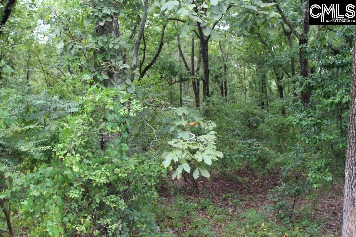 1271 Charles Town Leesville, SC 29070