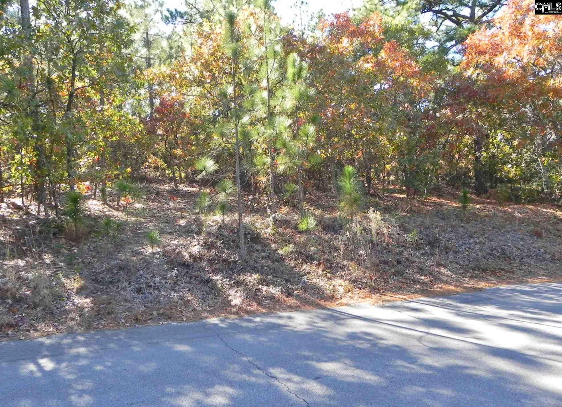 220 Valley Springs Columbia, SC 29223