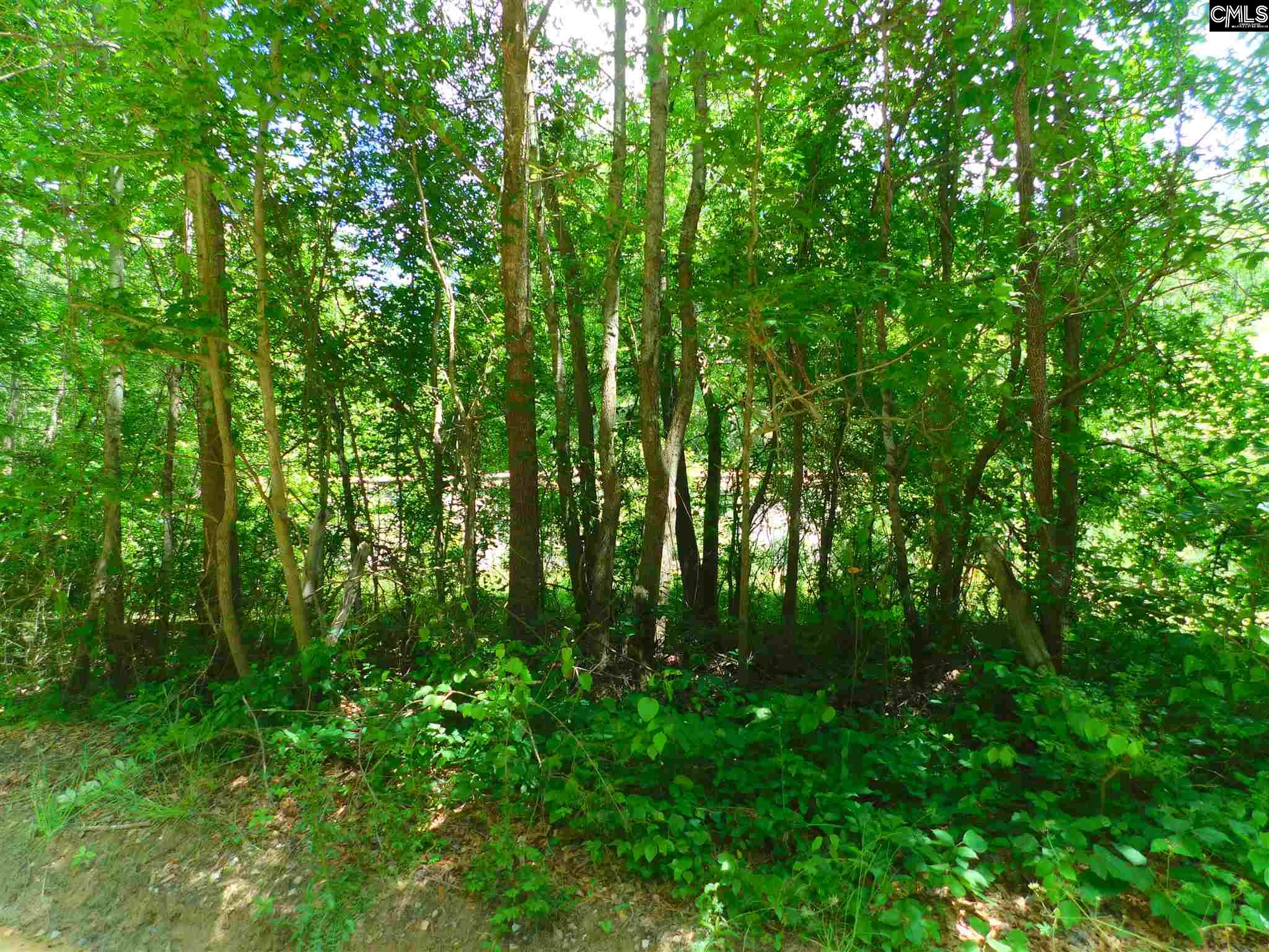 337 Samaria Batesburg, SC 29006