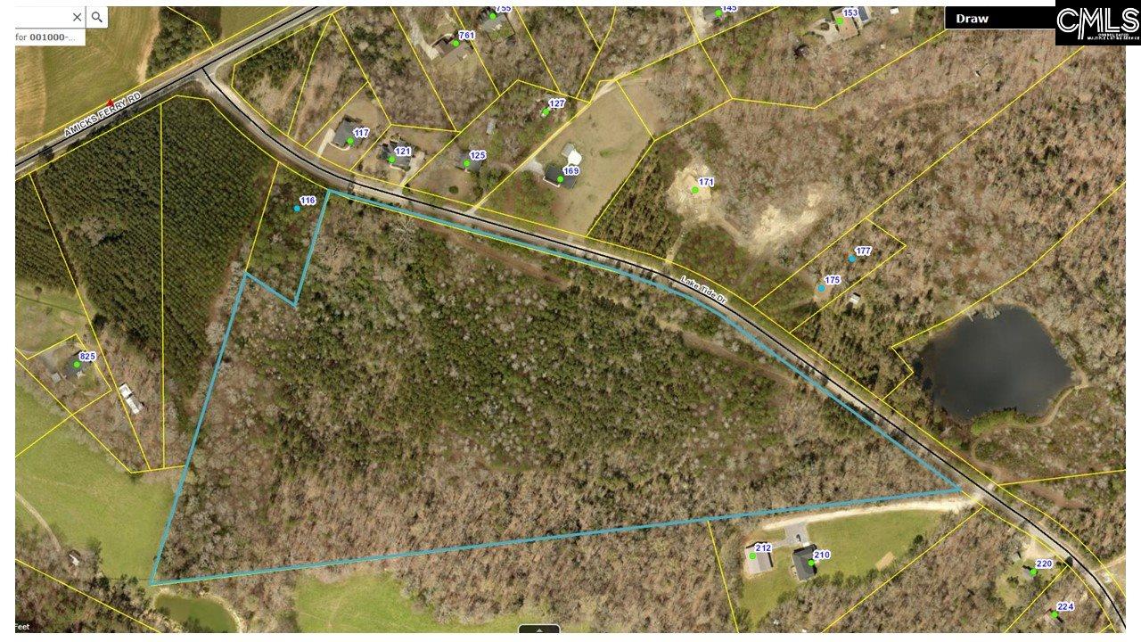 118 Lake Tide Chapin, SC 29036