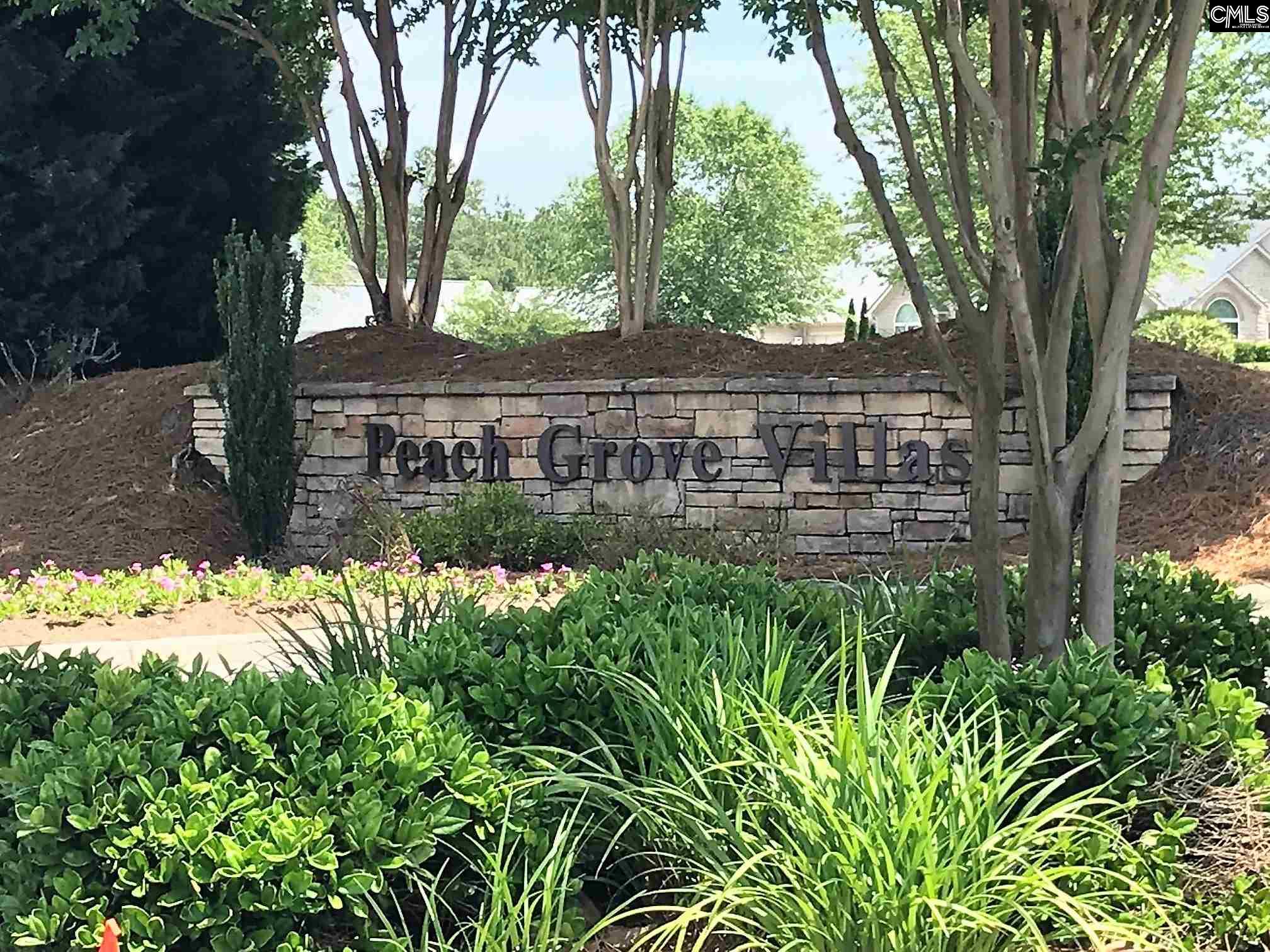 138 Peach Grove Elgin, SC 29045