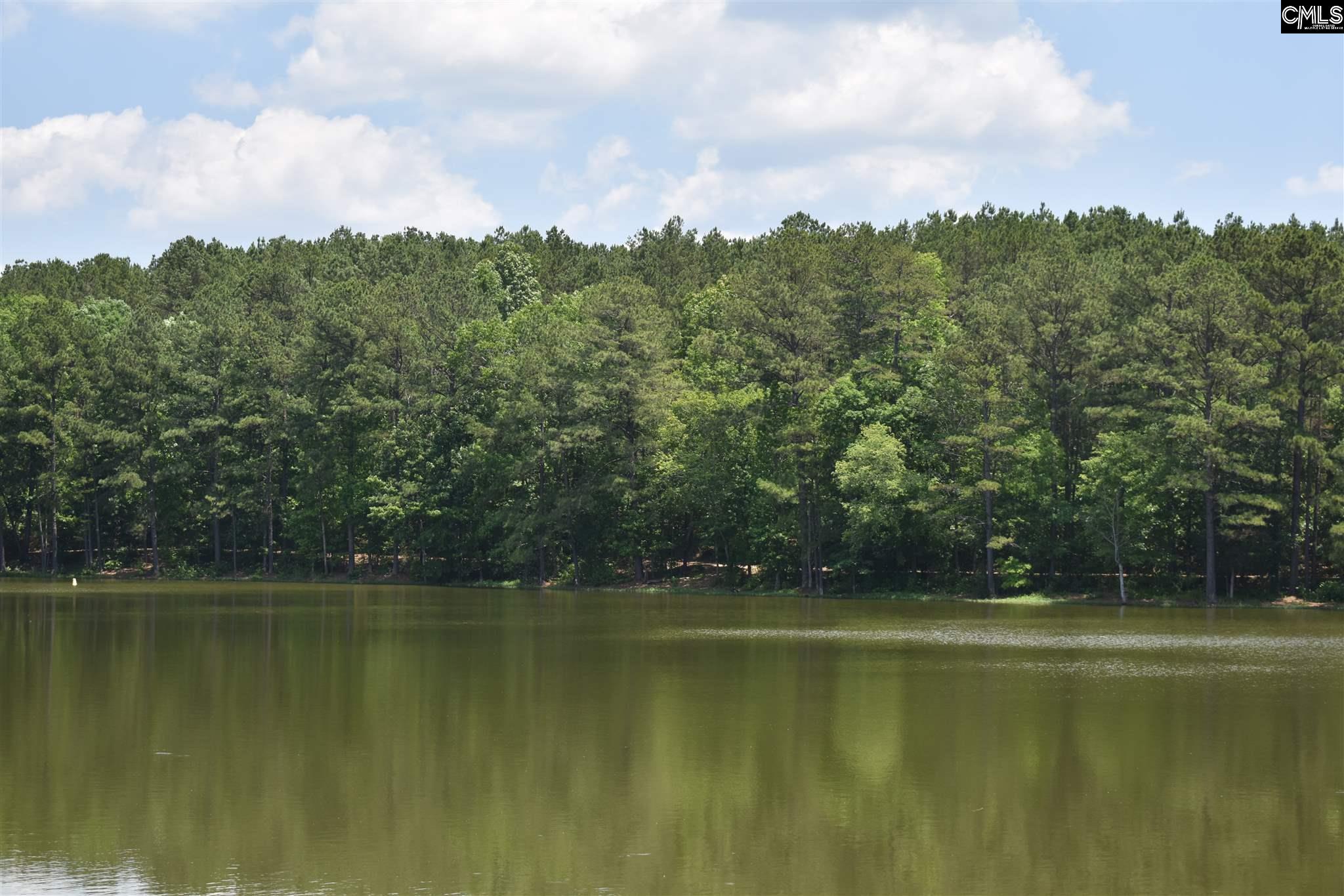 Lot 2 & 3 Mountain Lakes Road Chester, SC 29766