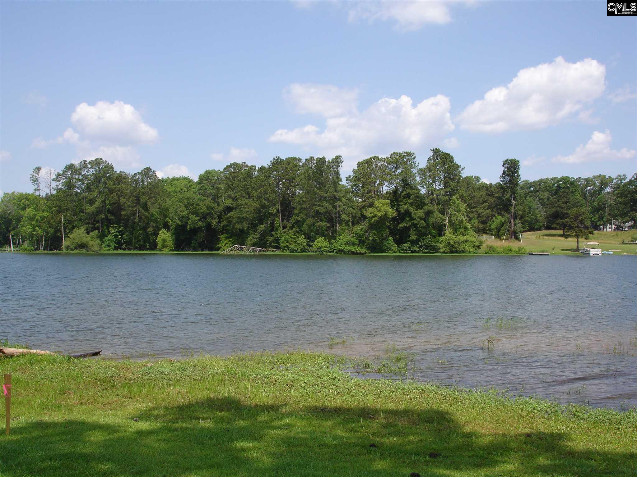Dockside Chapin, SC 29036