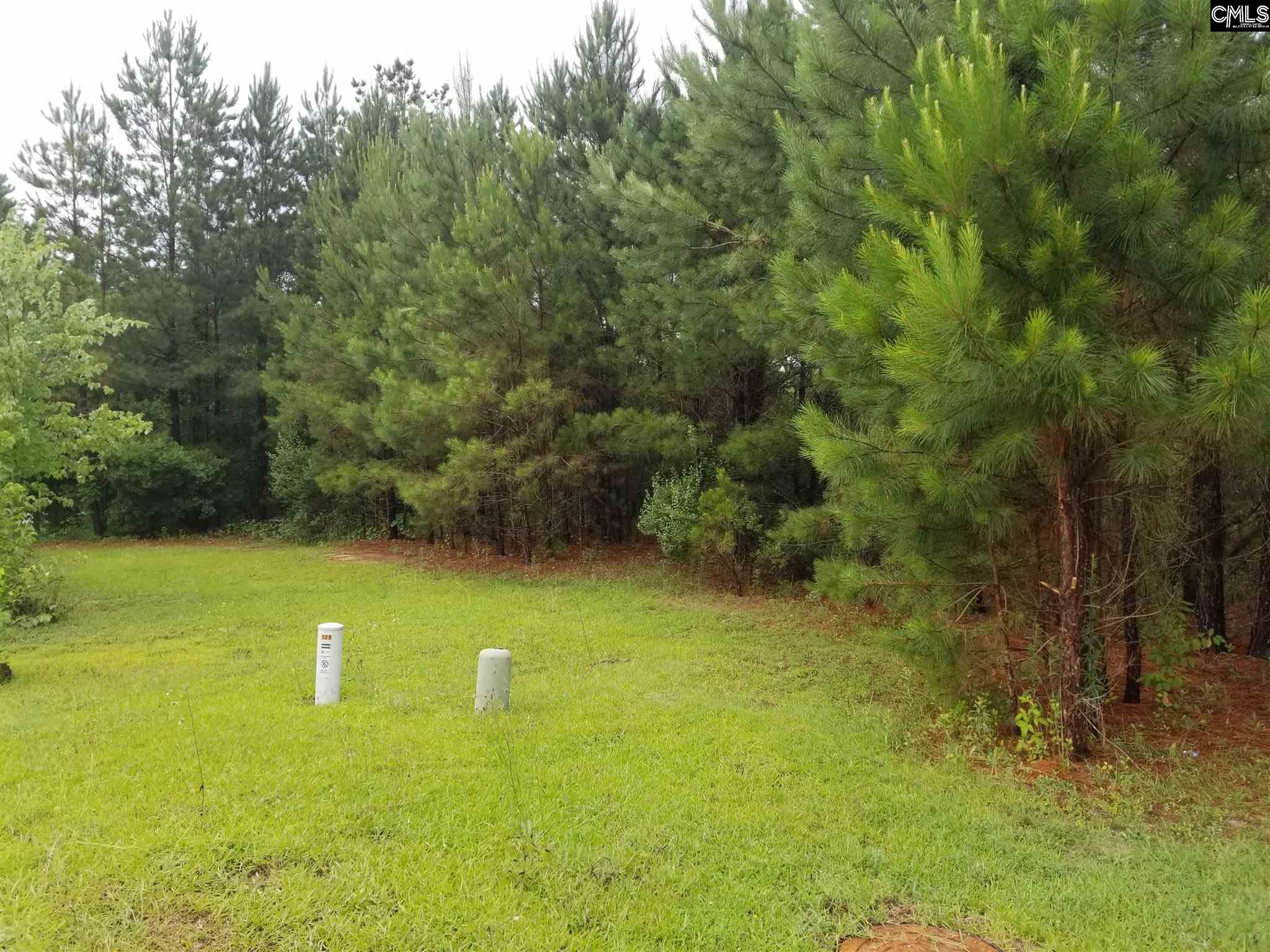 127 Owl Trace Chapin, SC 29036