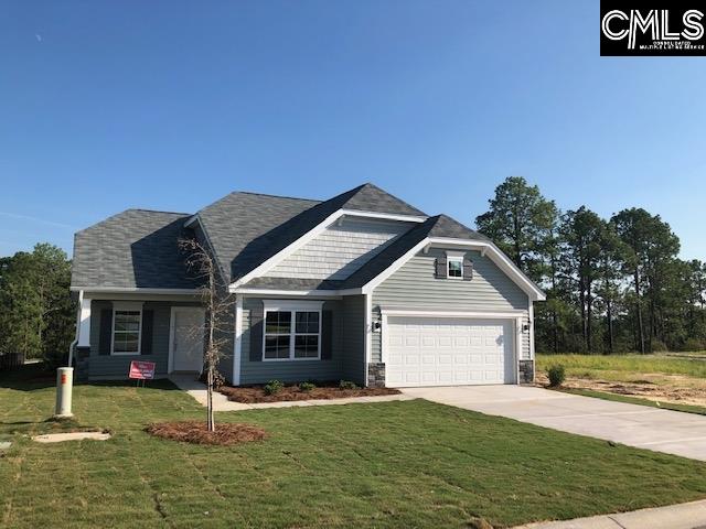 203 Aldergate Lexington, SC 29073-0000