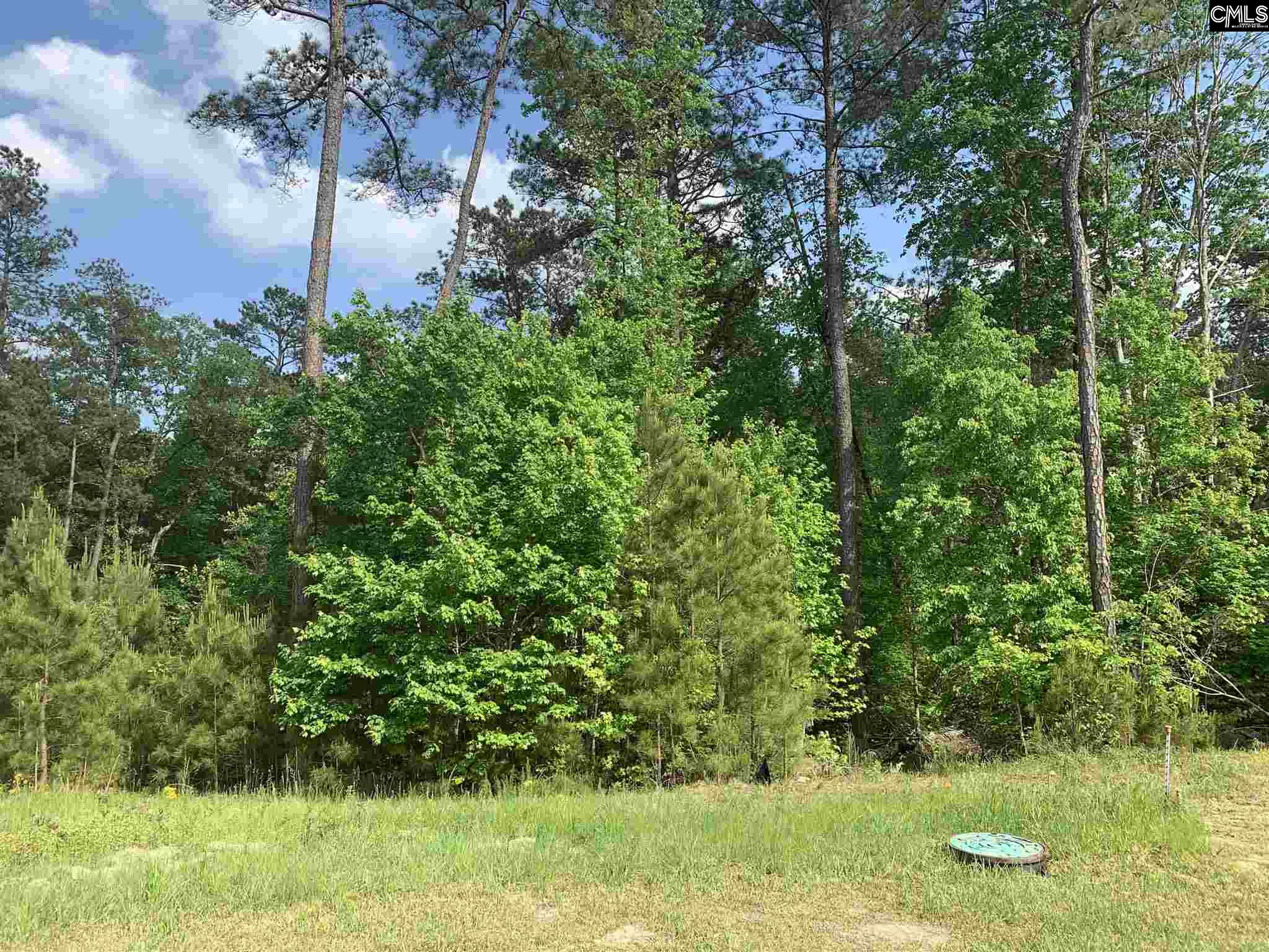 542 Golden Rod Blythewood, SC 29016