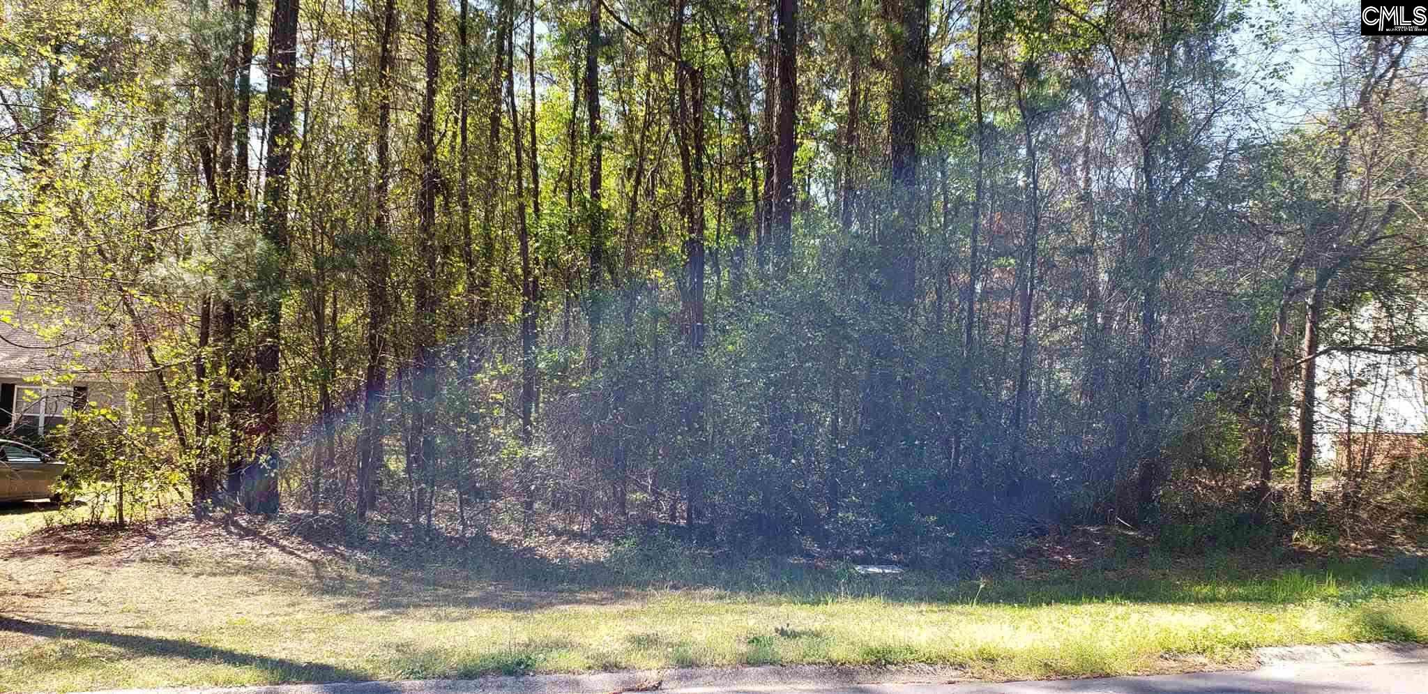 1253 Killian Columbia, SC 29203