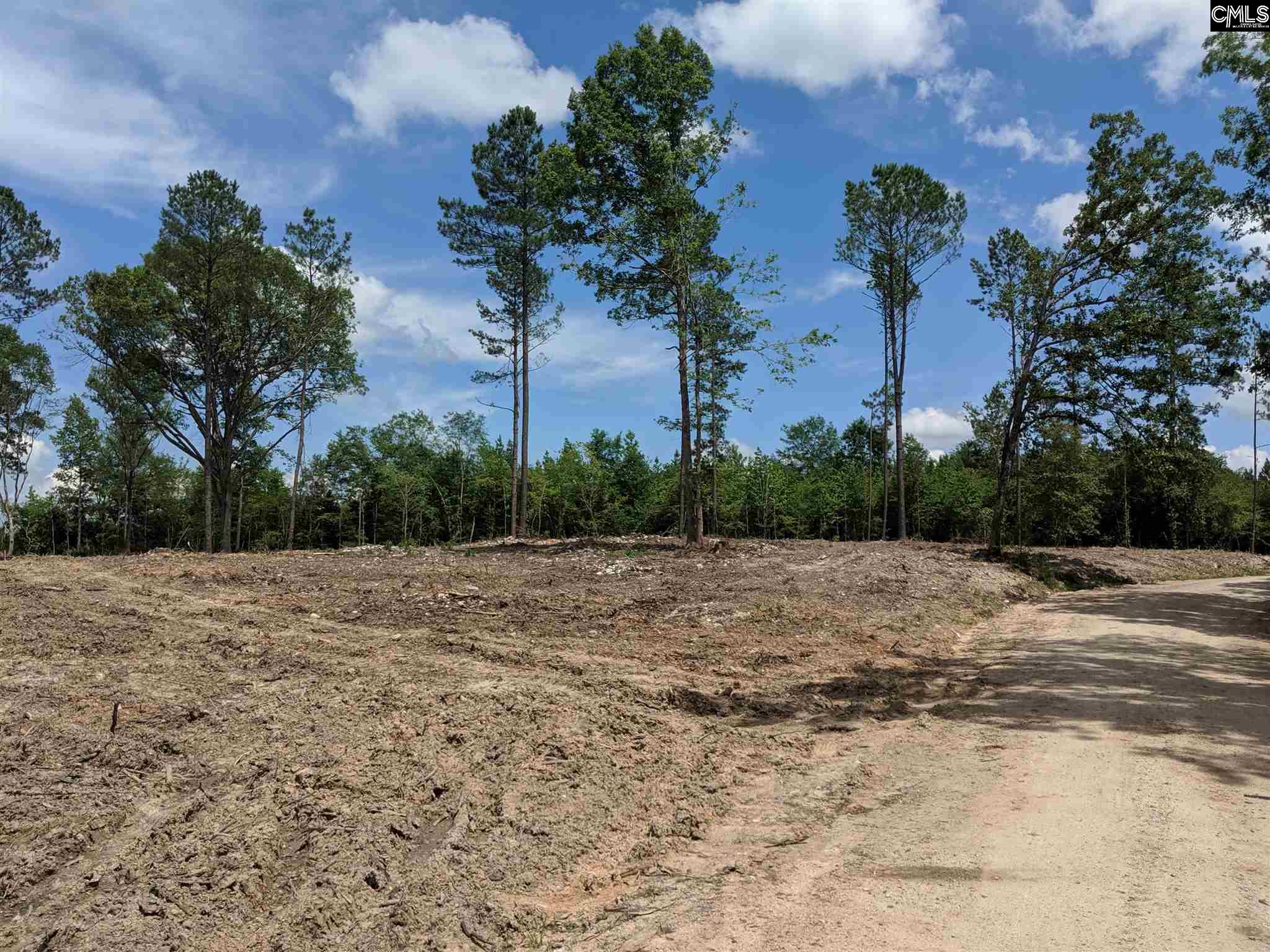 518 Moses Ridgeway, SC 29130-0000