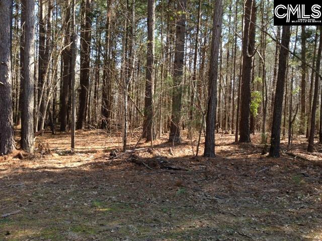 120 Carteret Chapin, SC 29036