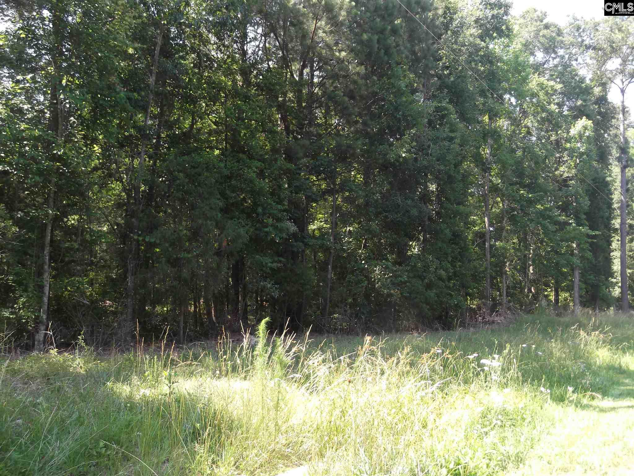 137 White Rock Acres Chapin, SC 29036