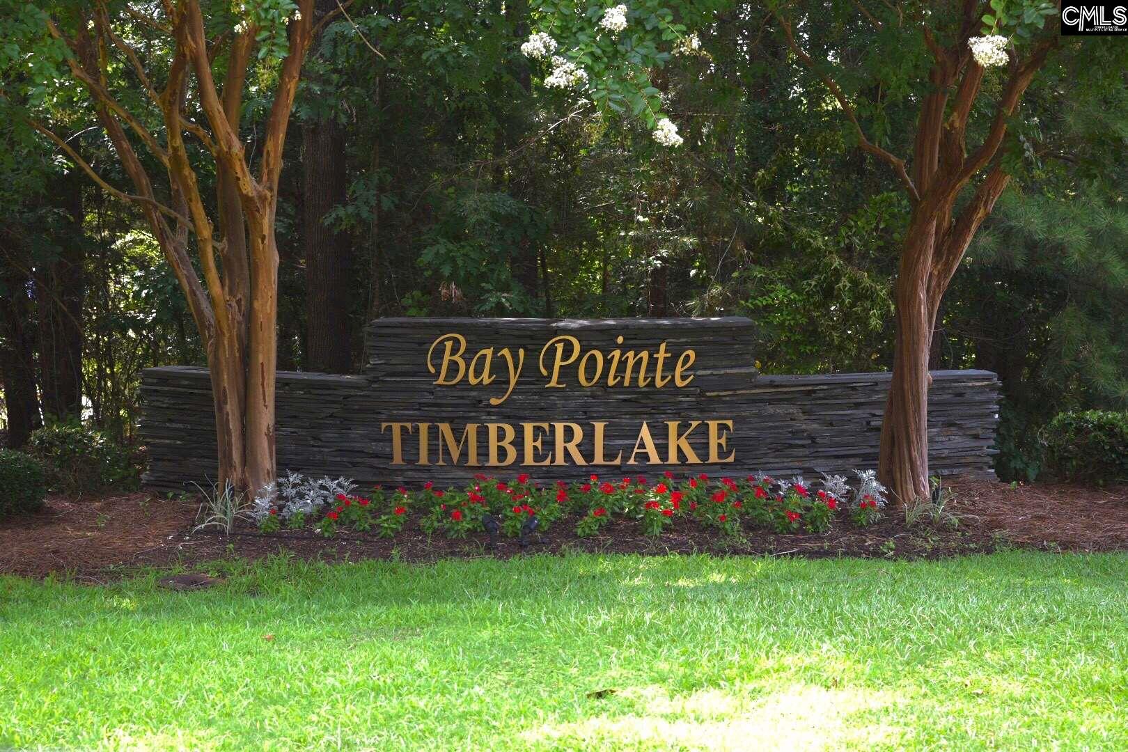 104 Bay Pointe Chapin, SC 29036