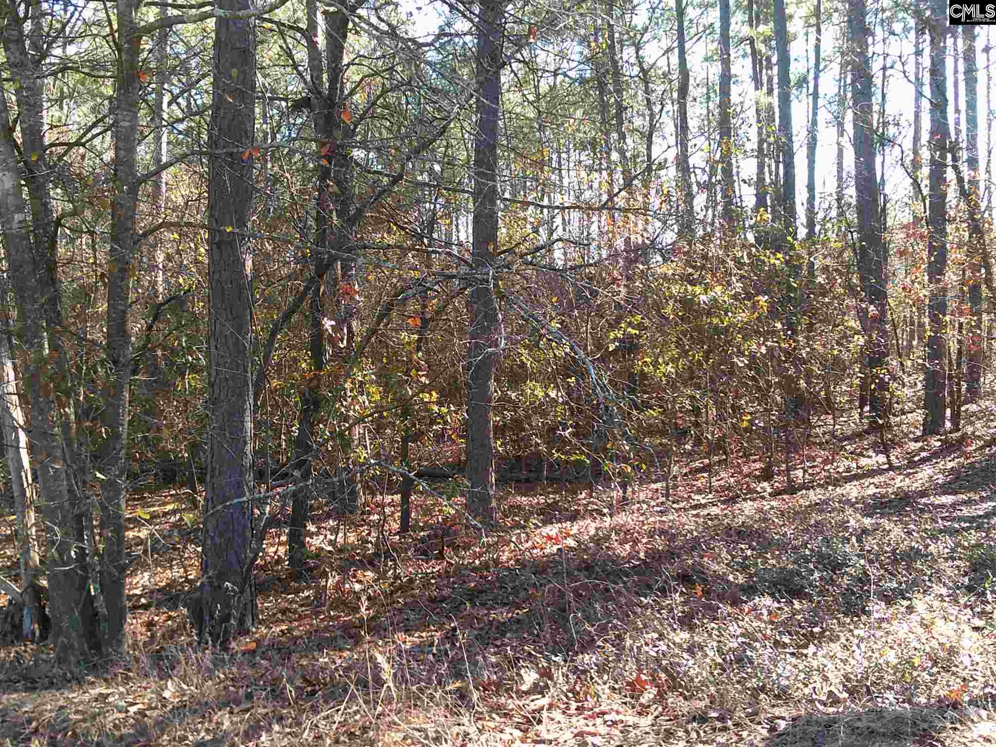 Decie Leesville, SC 29070