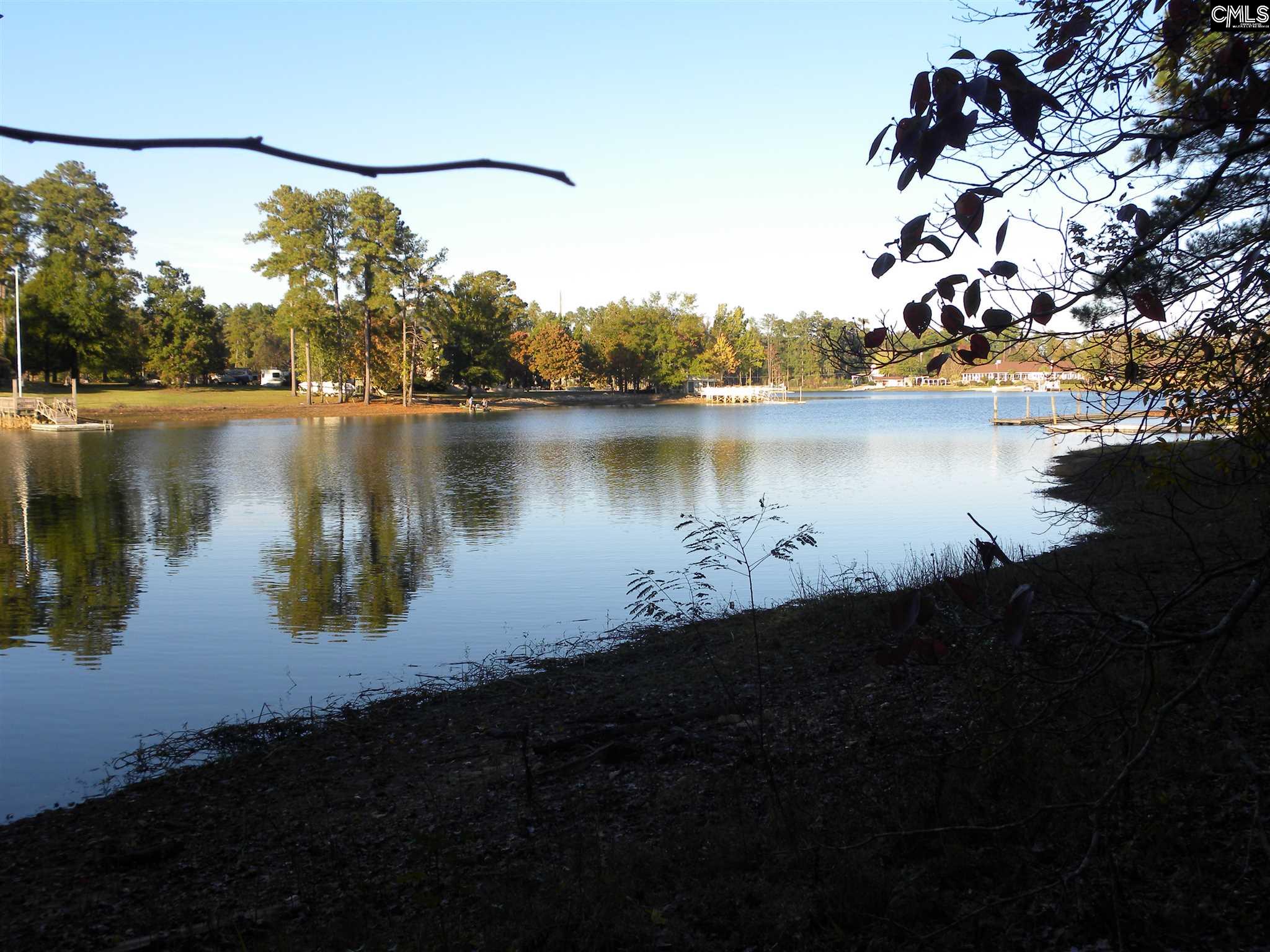 311 Indian Creek #2 Chapin, SC 29036