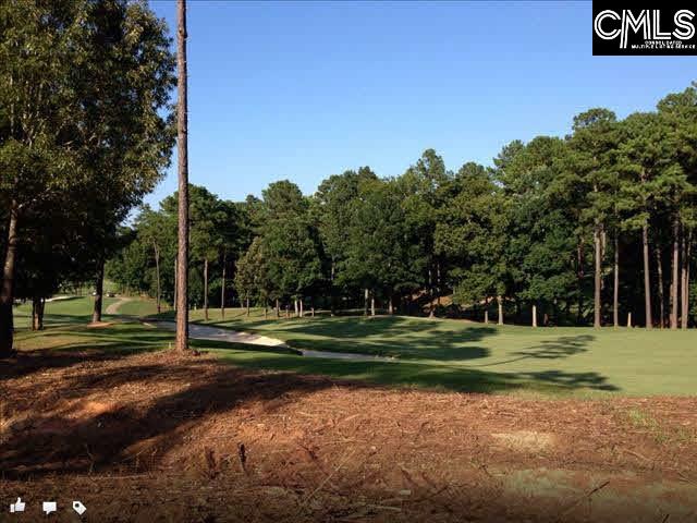 20 Barn Sour Blythewood, SC 29016