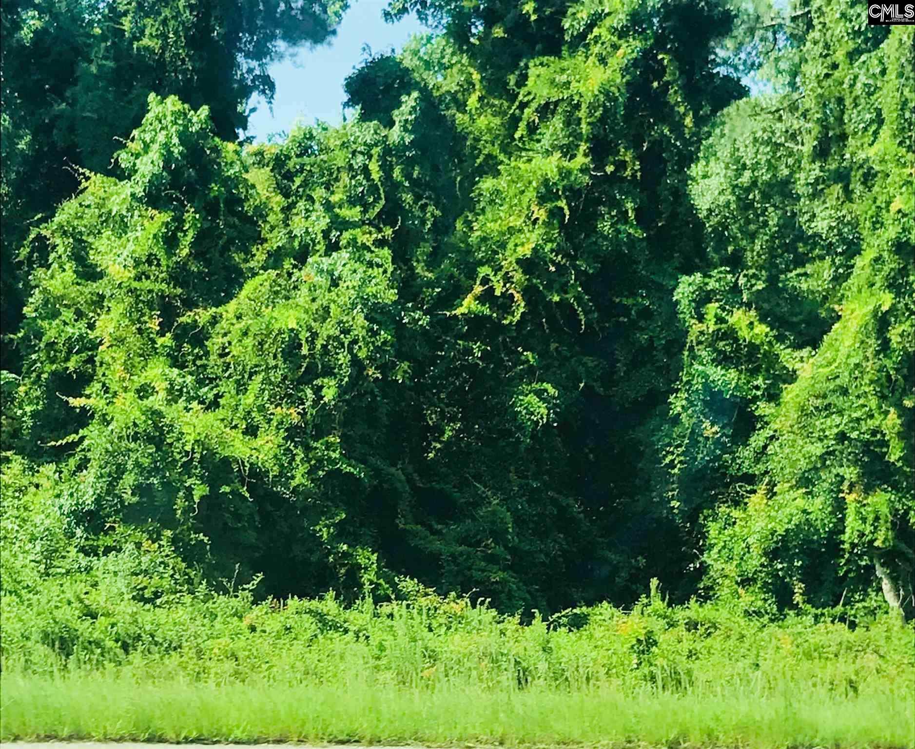 2009 Hwy Lexington, SC 29072