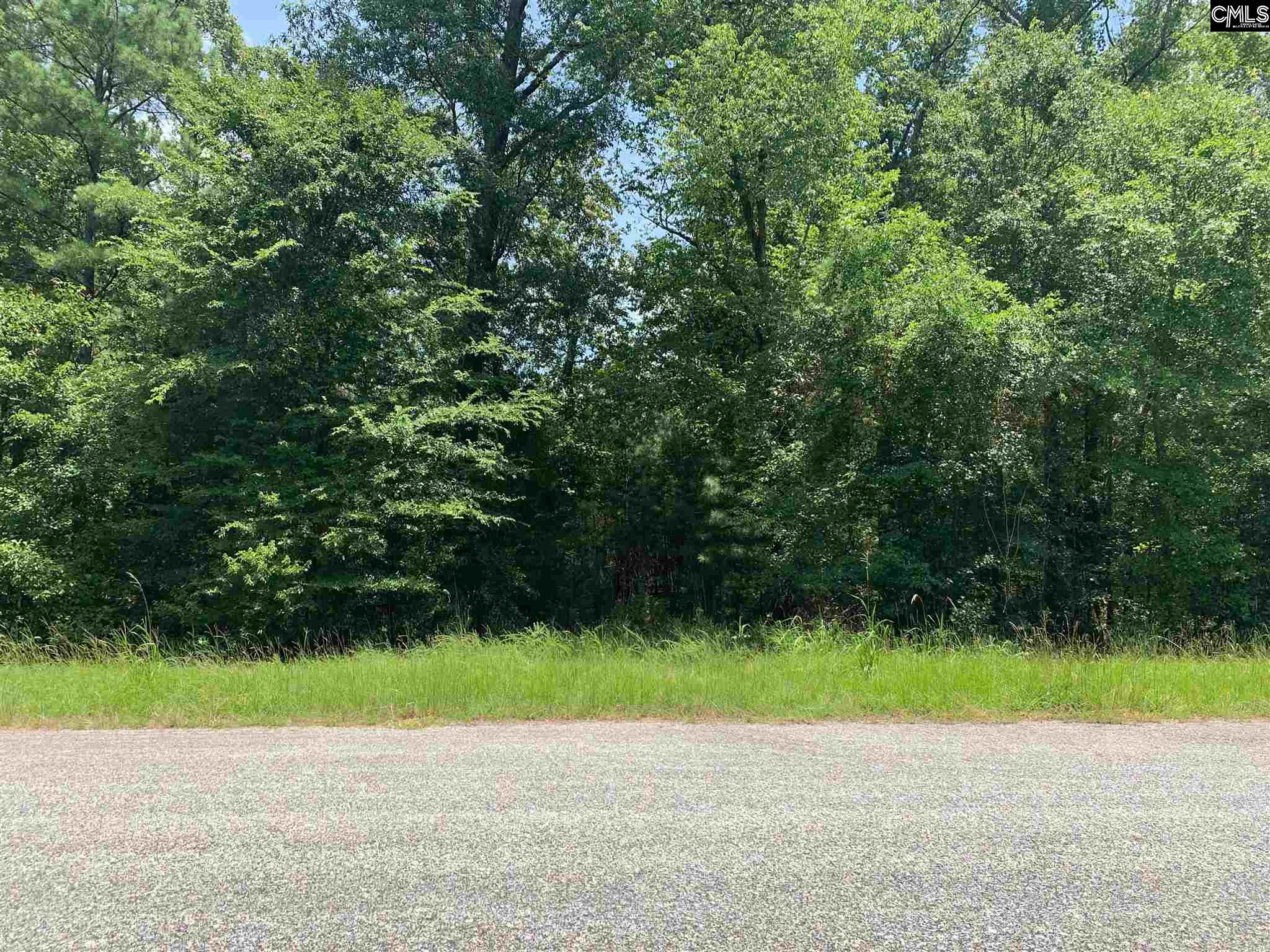 Delmar Leesville, SC 29070