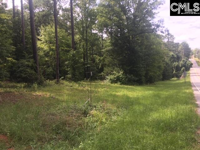 2417 Hollingshed Irmo, SC 29063