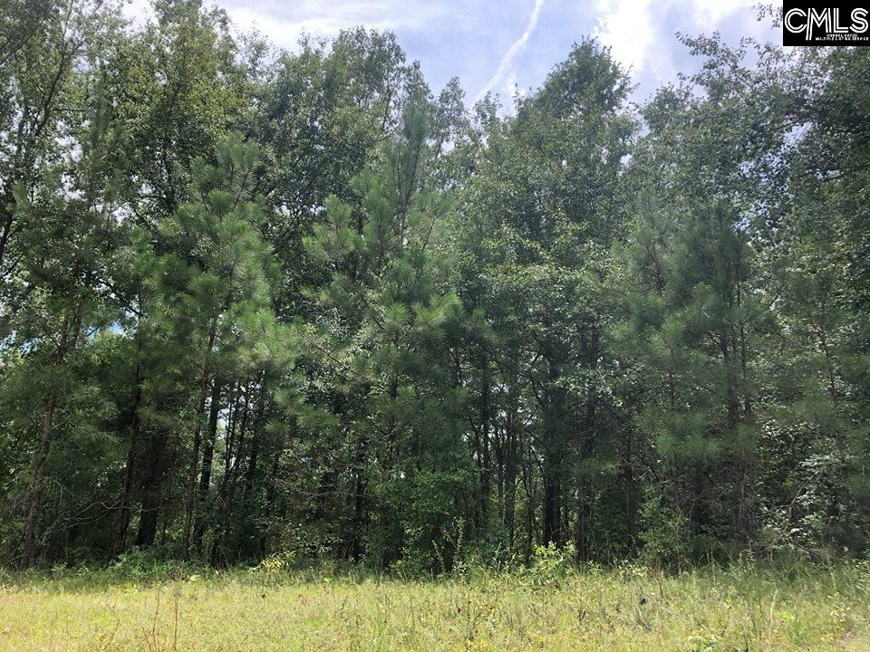 Gaston SC Real Estate Old Sandy Run Gaston SC 29053 MLS 476322