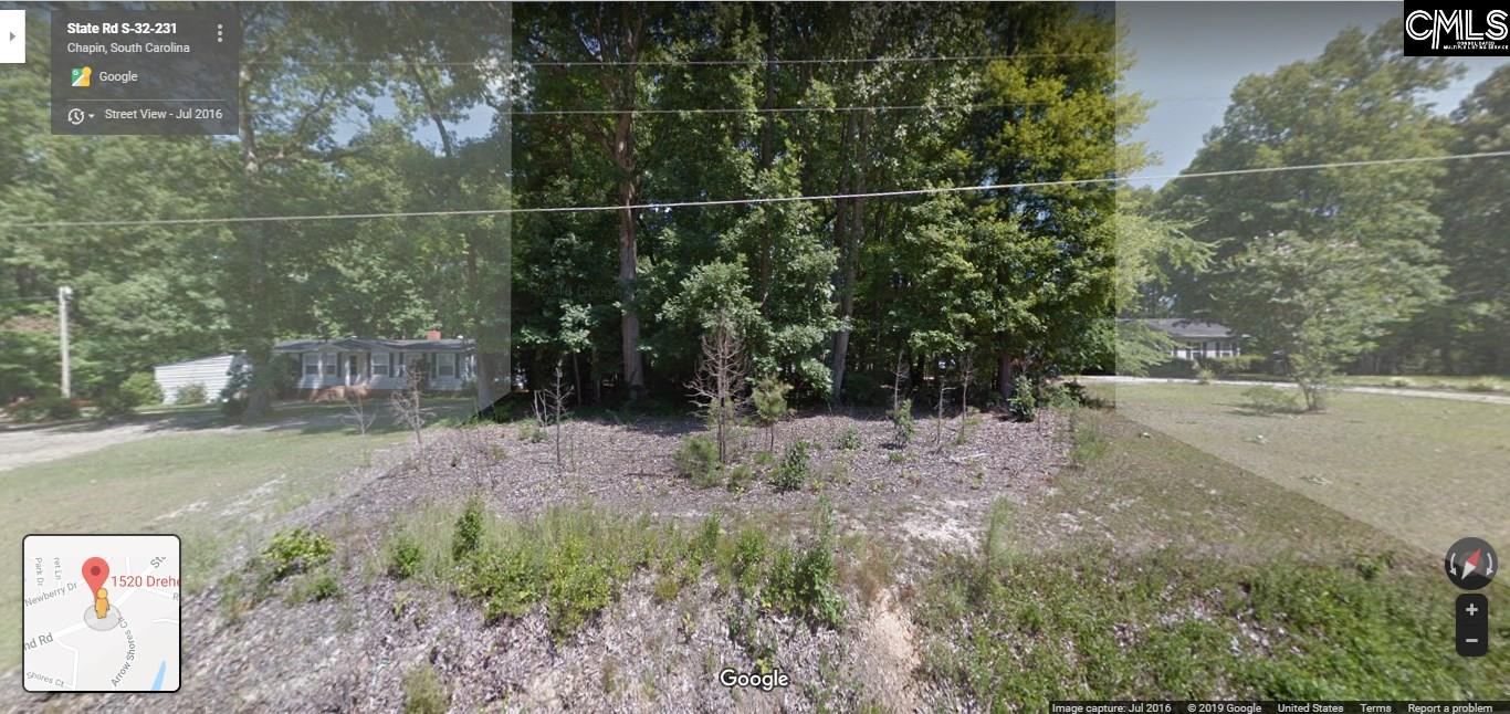 1520 Dreher Island #14 Chapin, SC 29036