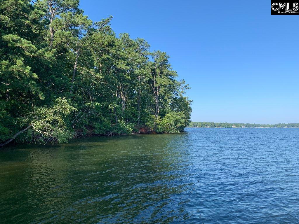 Ivy Link Leesville, SC 29070