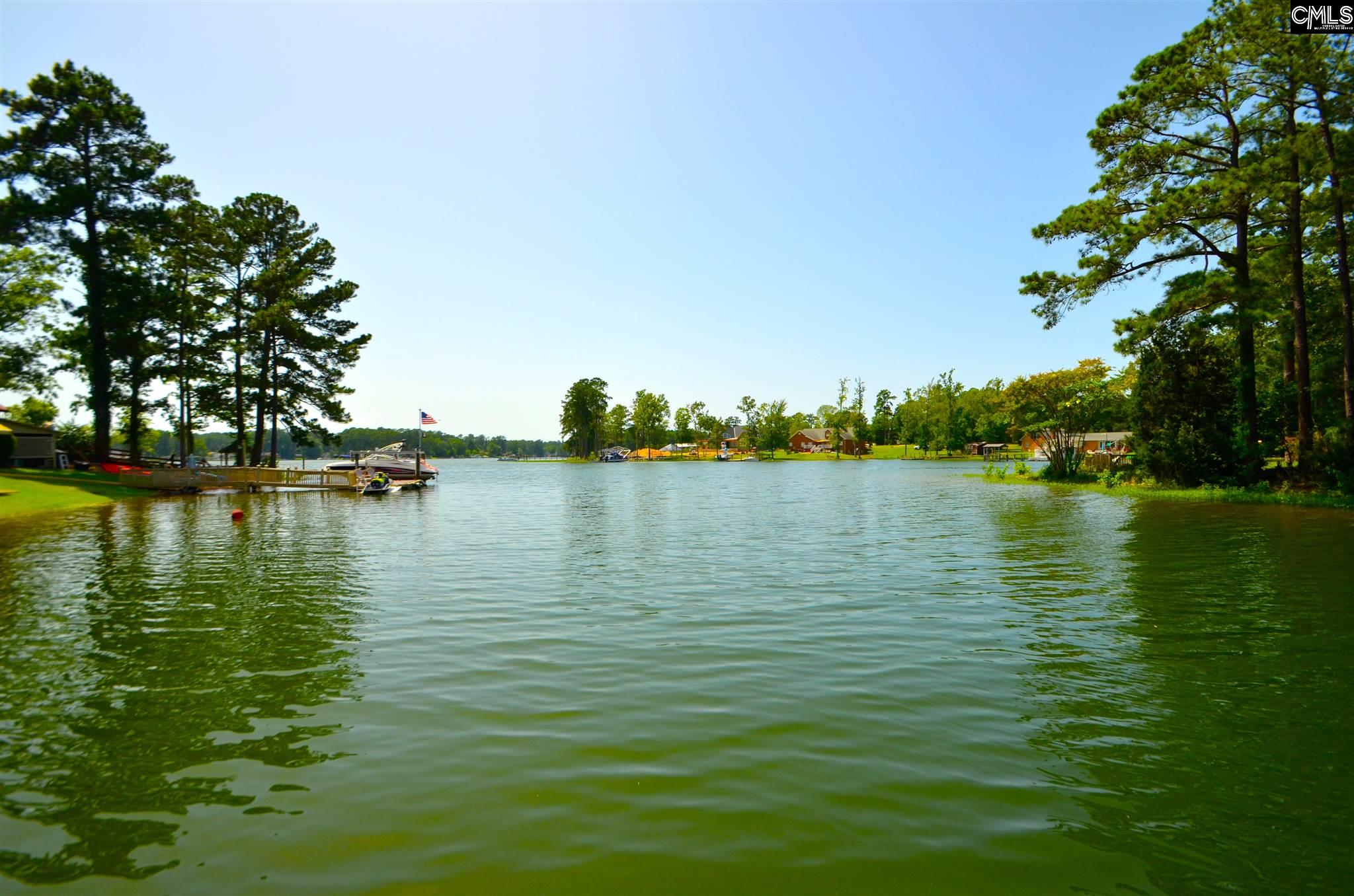 308 Derrick Irmo, SC 29063