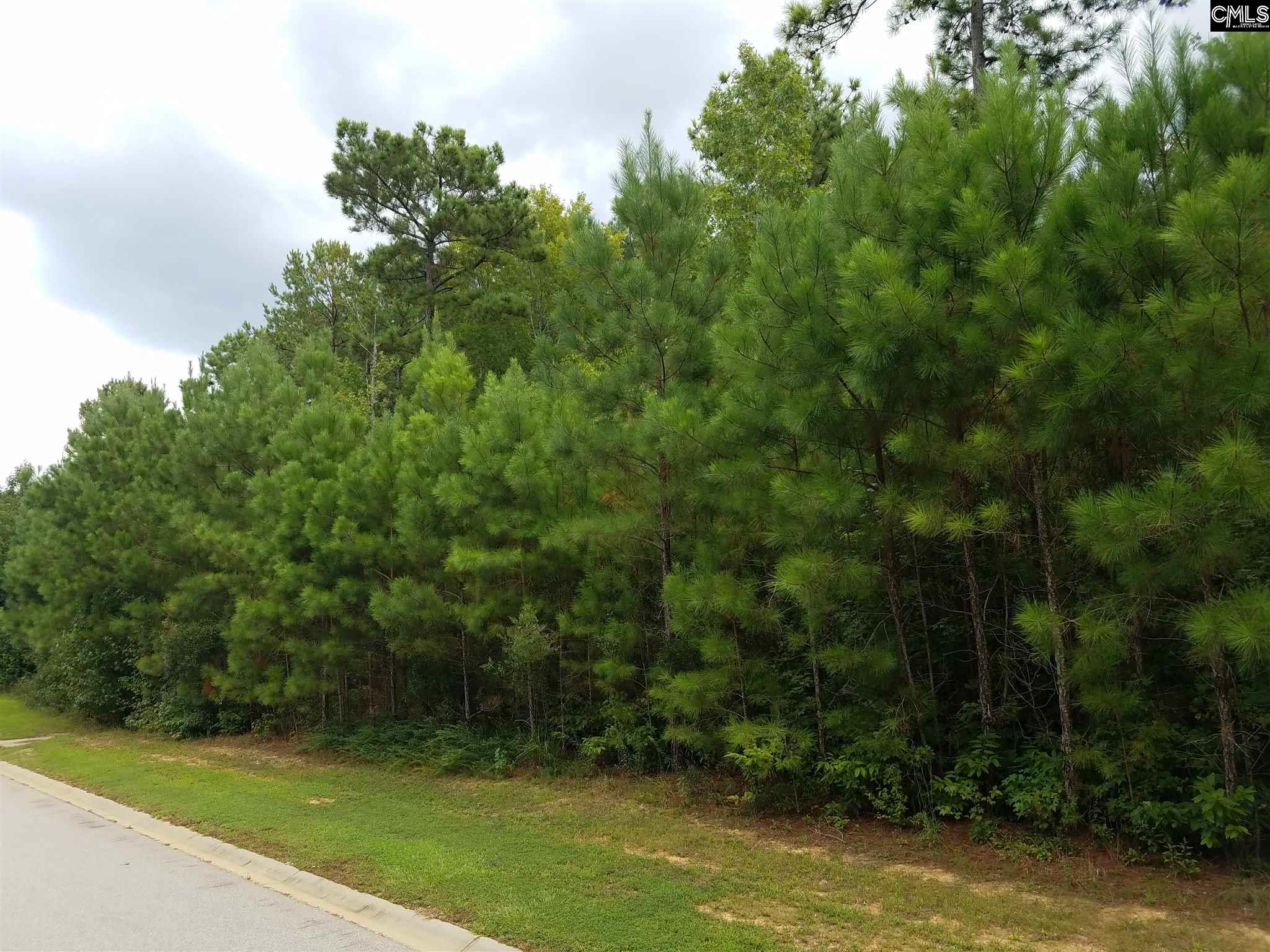 317 Creek Ridge Blythewood, SC 29016