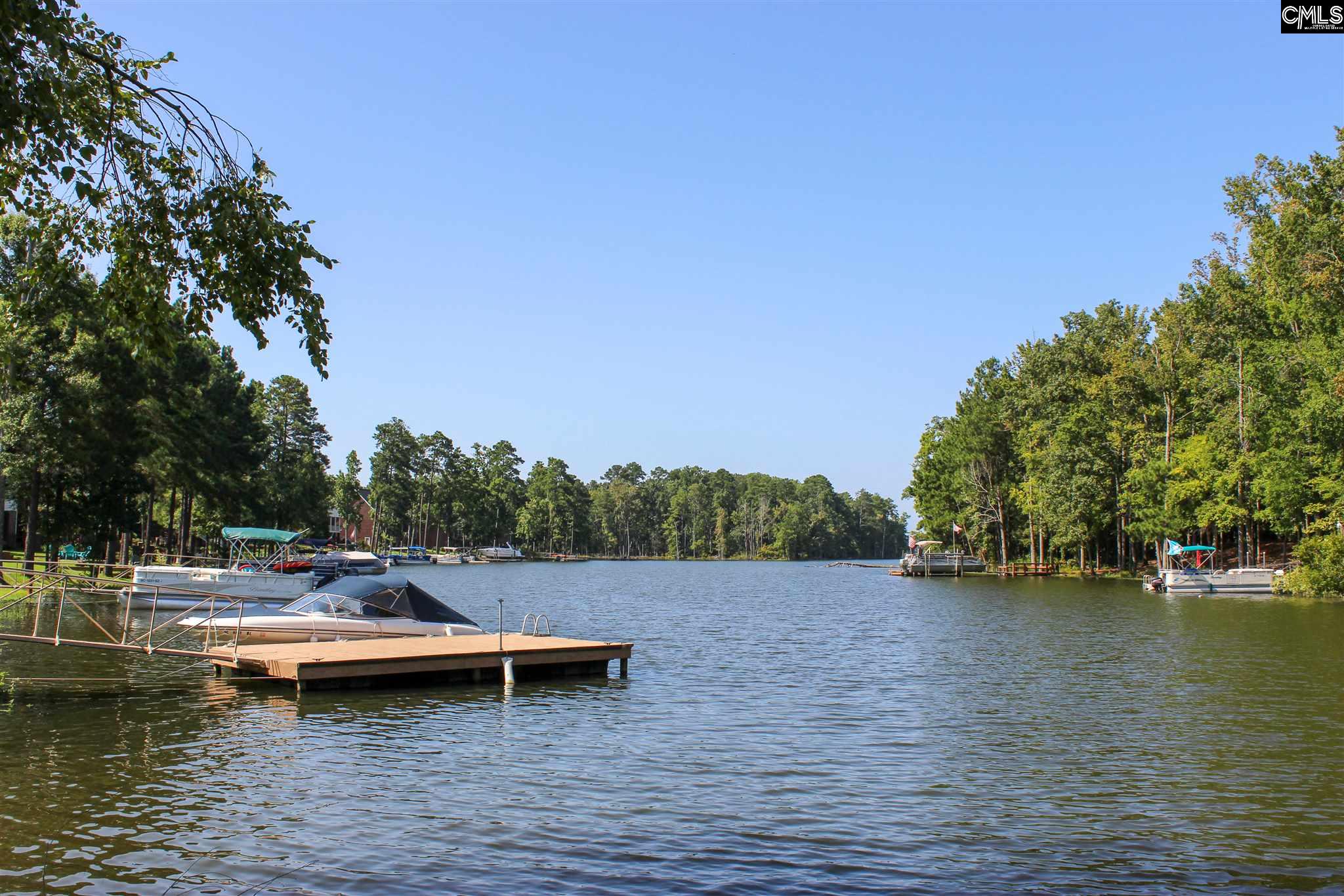 136 Palm Chapin, SC 29036