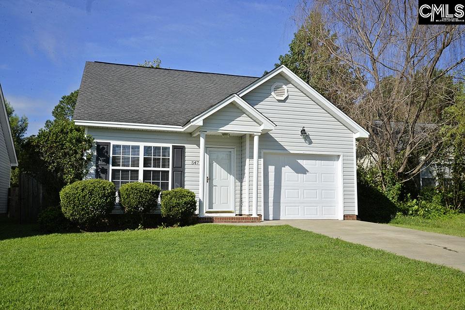 547 Old Bush River Chapin, SC 29036