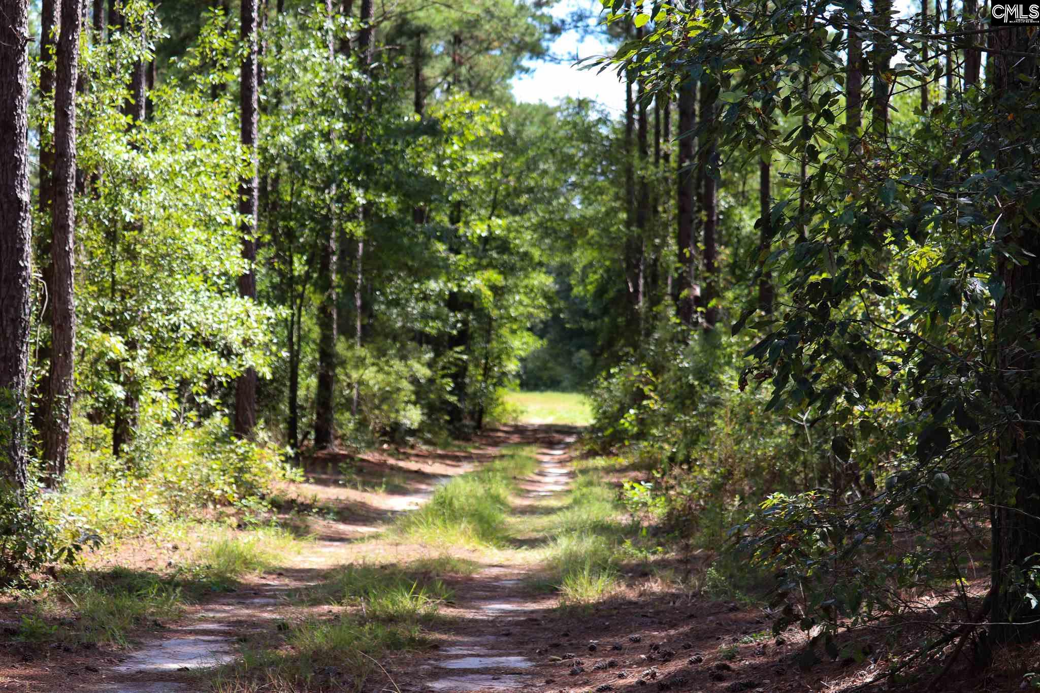 Cotton Branch Leesville, SC 29070