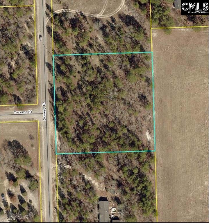 354 Downey Pelion, SC 29123