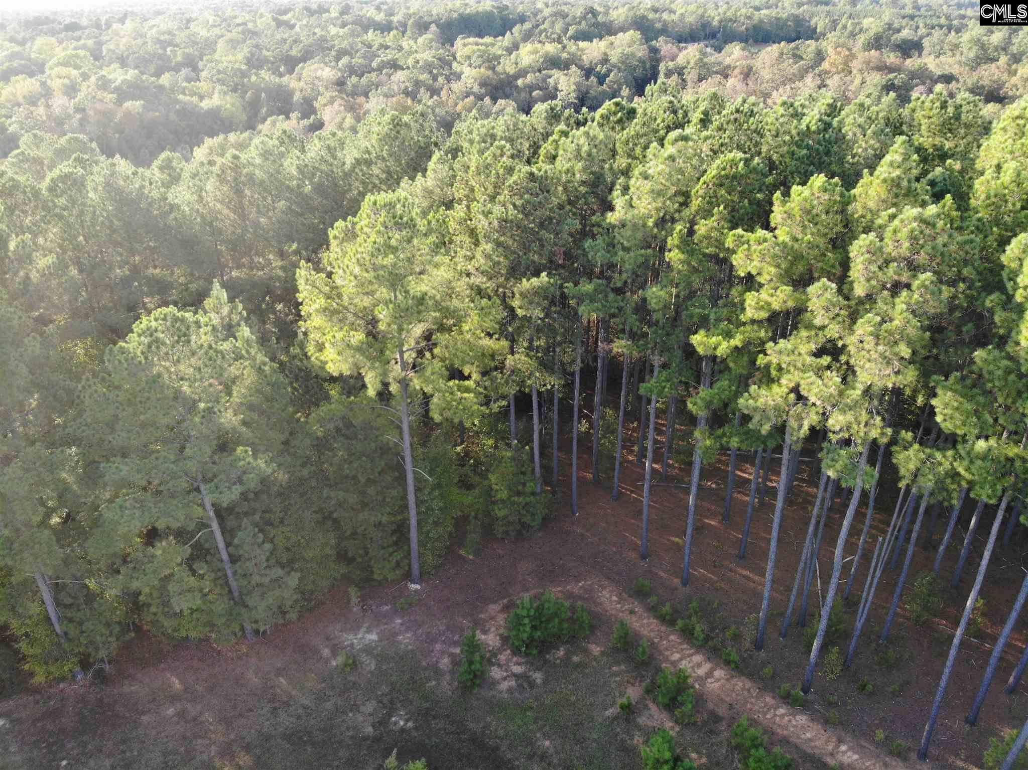 Land for sale in Prosperity