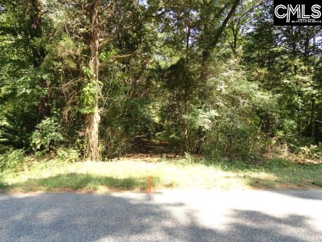 1492 Sam Koon Chapin, SC 29036