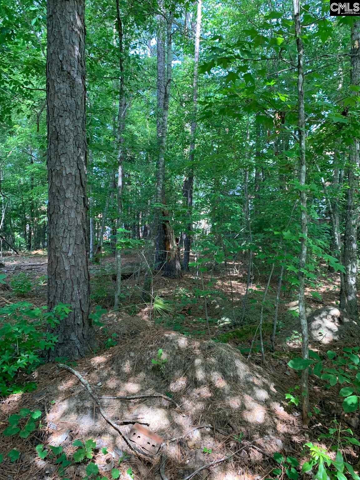 207 Fairway Ridge Chapin, SC 29036